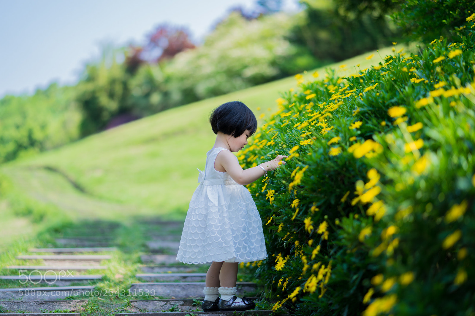 Sony a7 II sample photo. Untitled photography