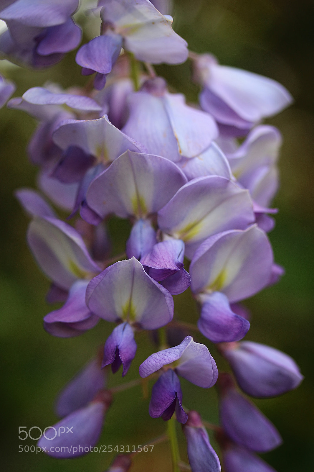Canon EOS 70D sample photo. Cascading photography