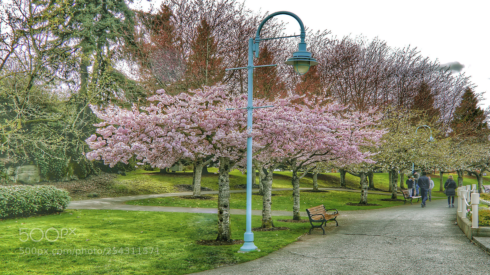 Panasonic Lumix DC-GH5 sample photo. 2018-04-09 16.18.10.jpg photography