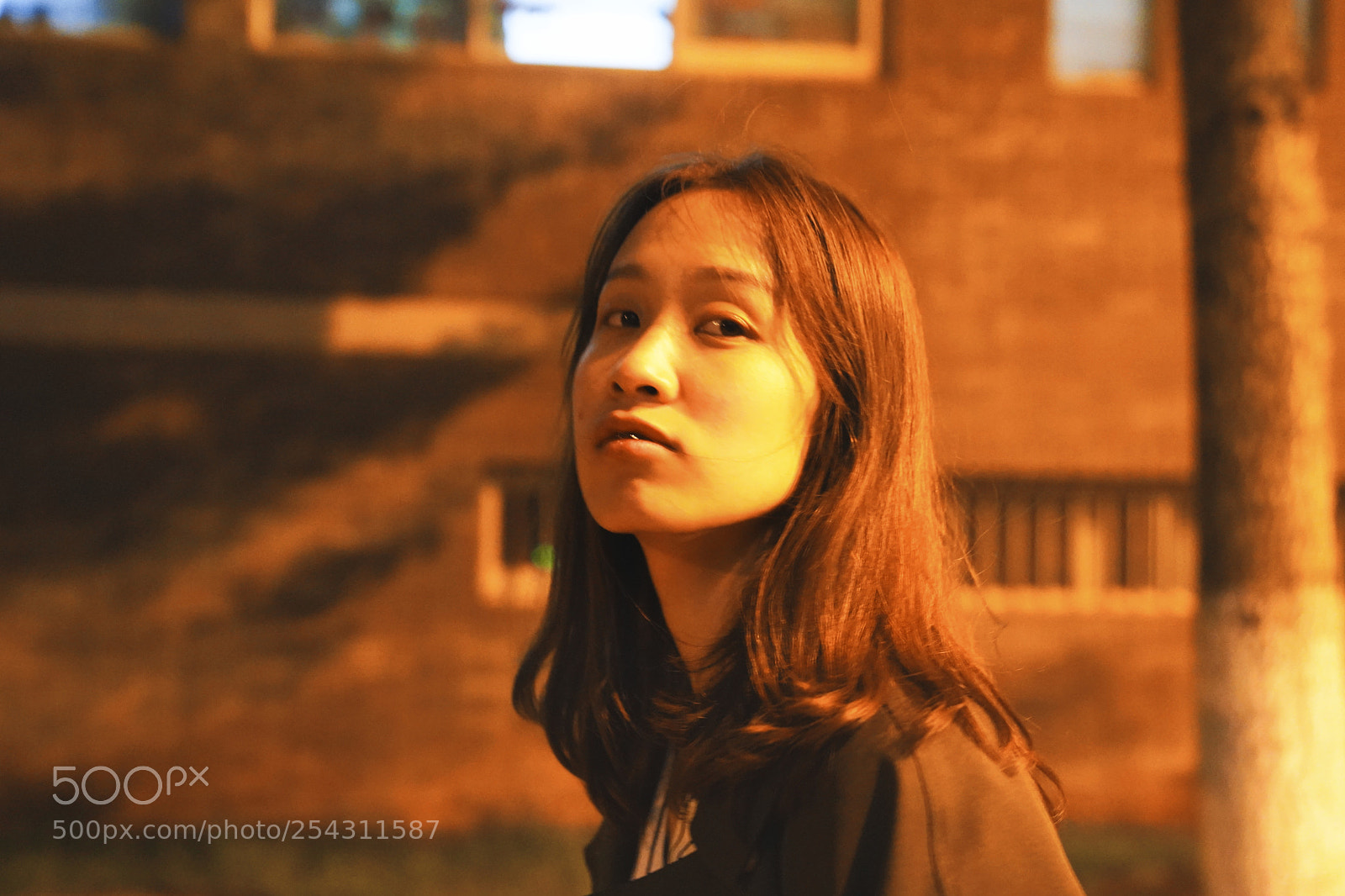 Sony a7 III sample photo. Untitled photography
