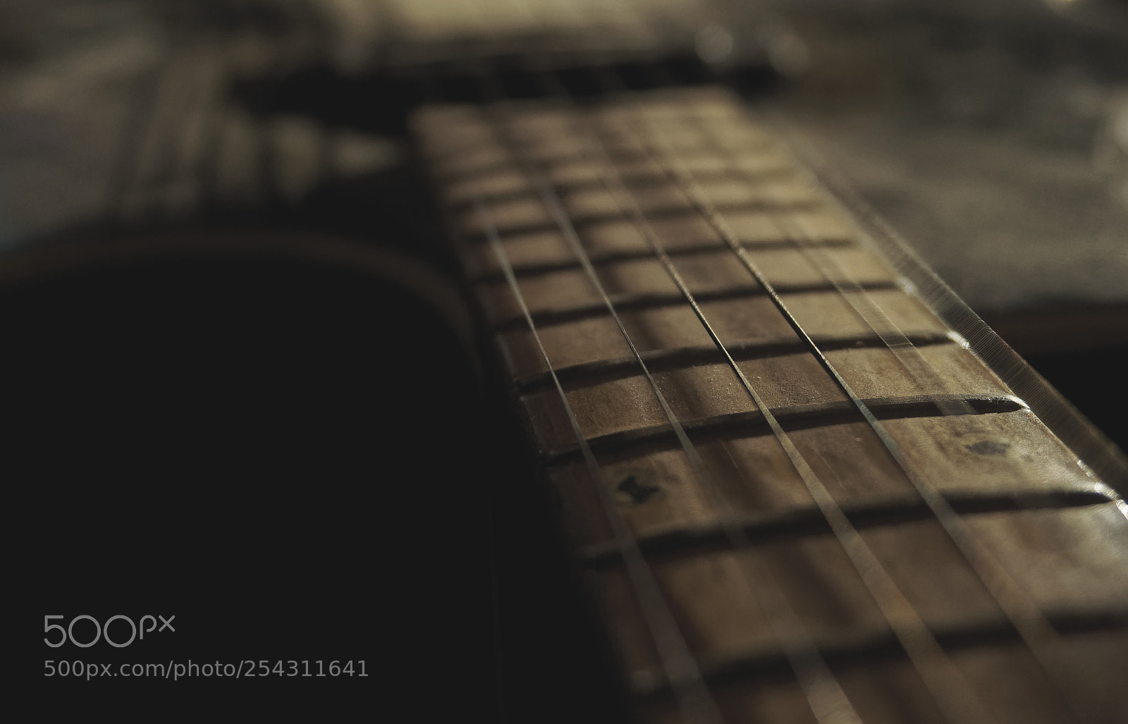 Olympus OM-D E-M10 II sample photo. The two strings photography