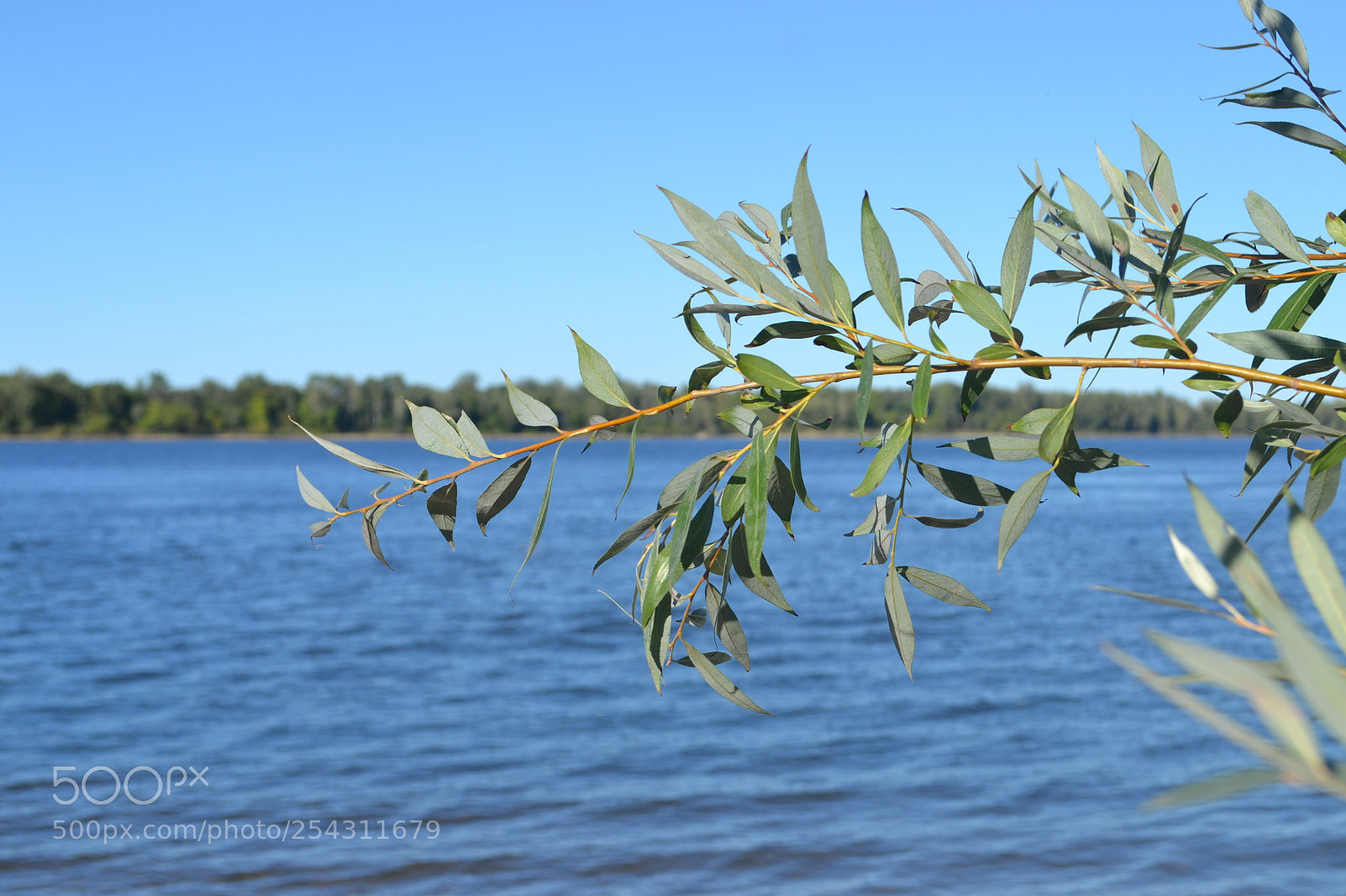 Nikon D3100 sample photo. At the river photography