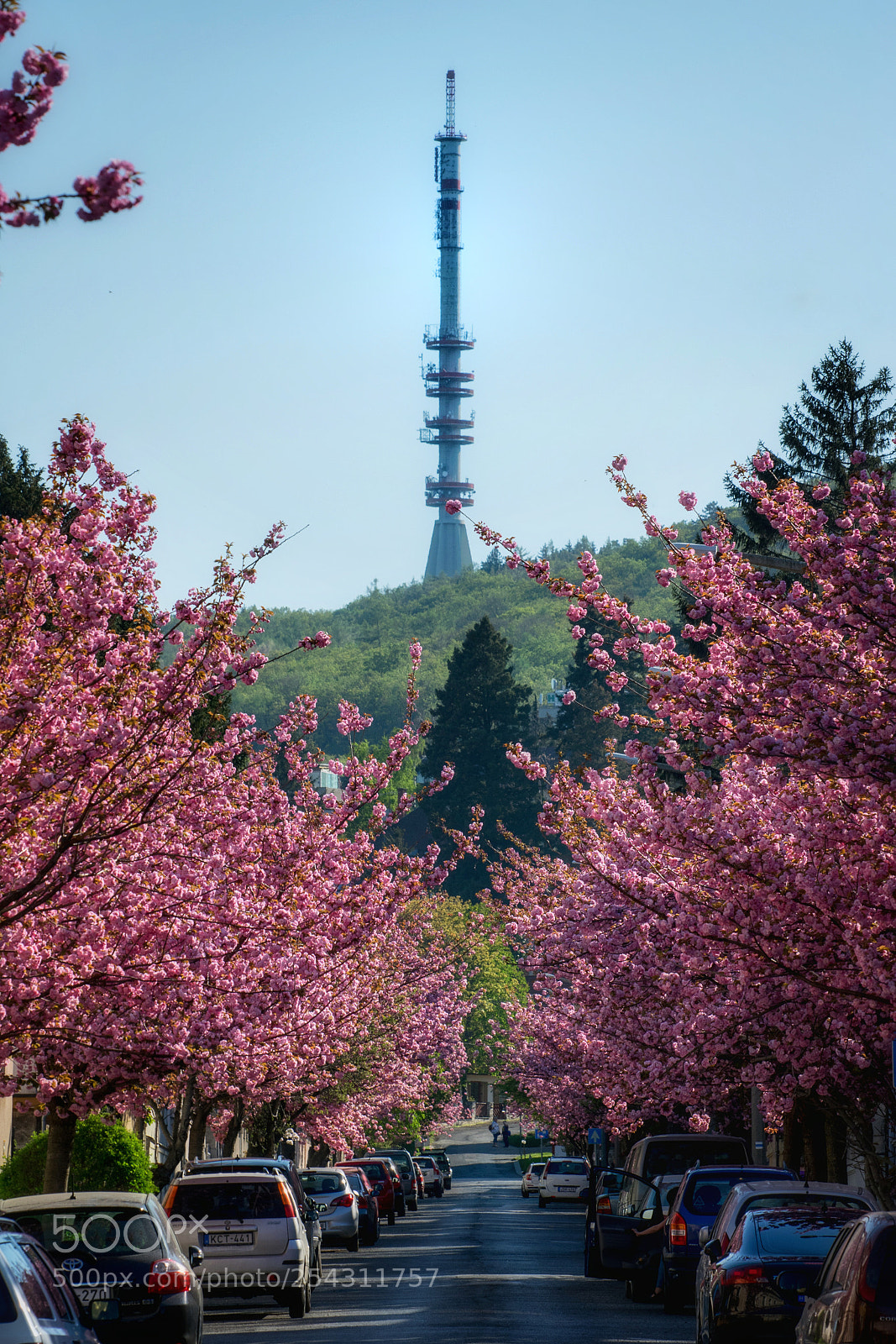 Nikon D3300 sample photo. City and nature photography