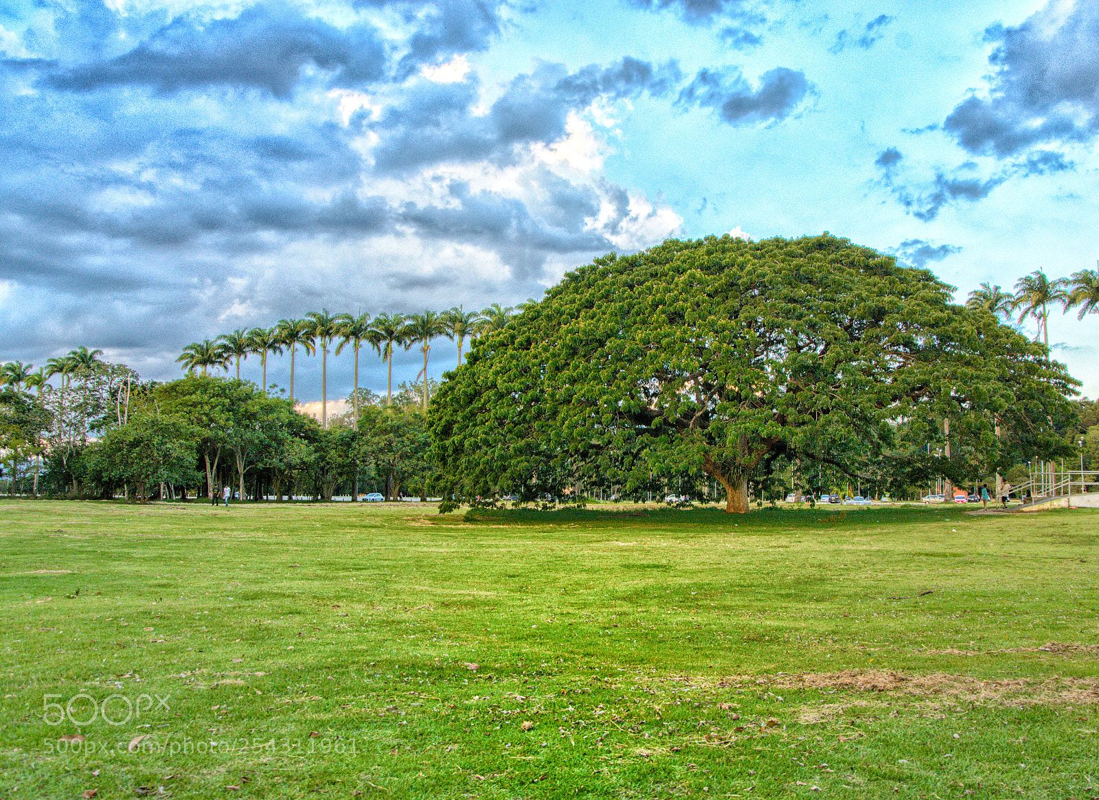 Nikon D7000 sample photo. Untitled photography