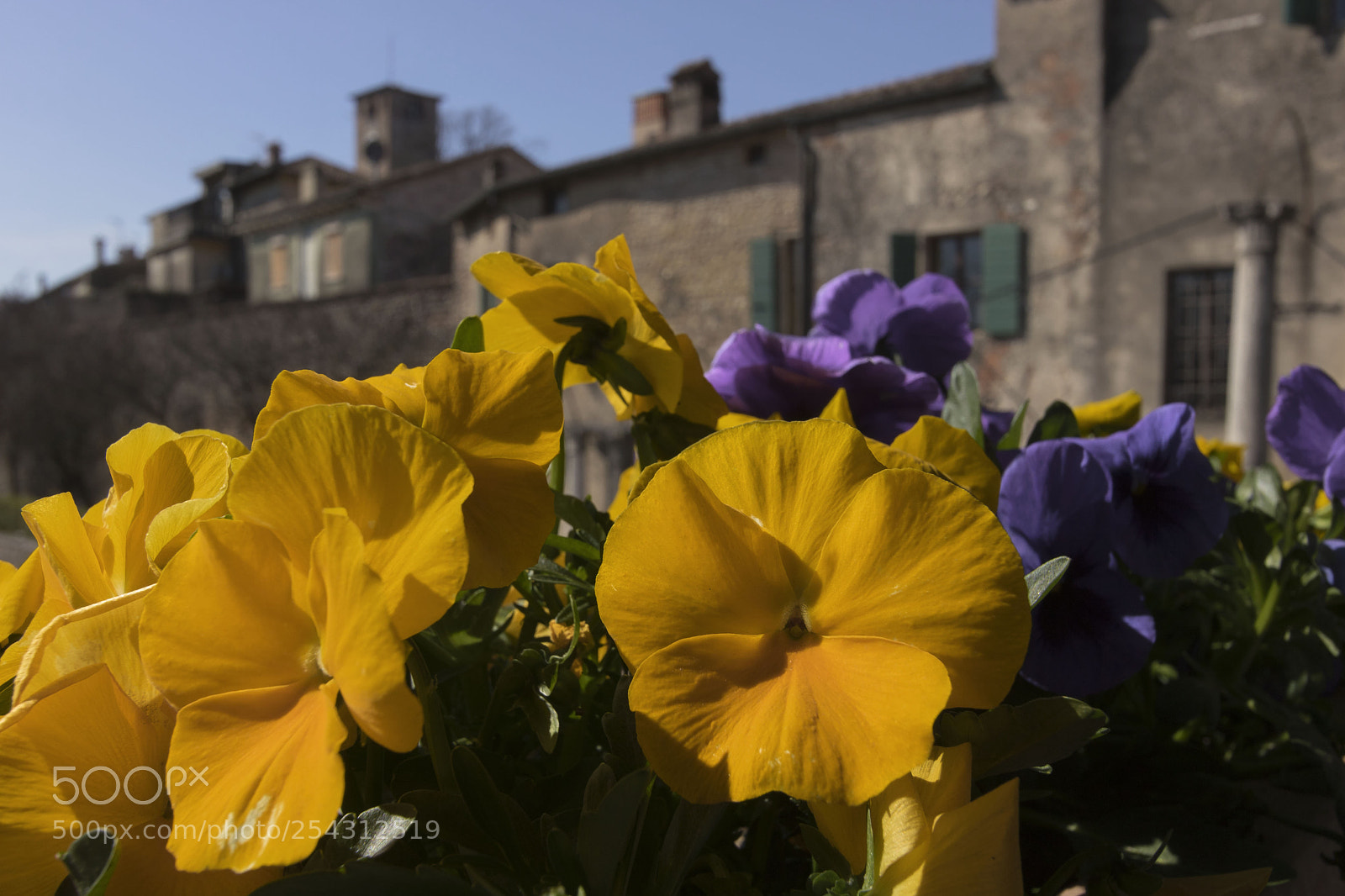 Canon EOS 760D (EOS Rebel T6s / EOS 8000D) sample photo. Volta mantovana (italy)  photography