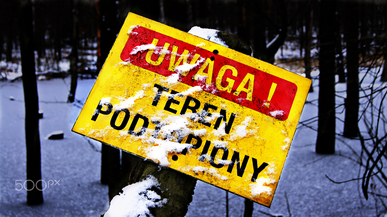 Sony Alpha DSLR-A450 sample photo. Nie tędy photography