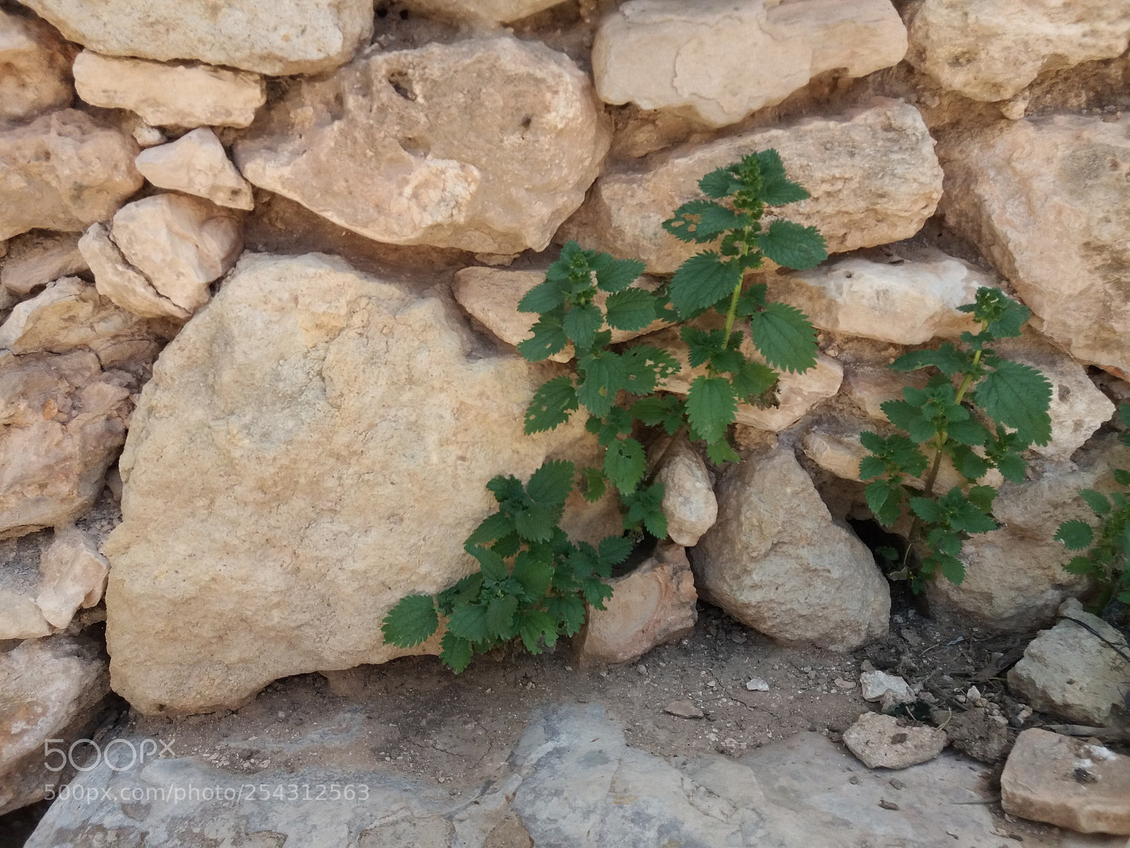 Samsung Galaxy J5(2016) sample photo. 20180418_132902.jpg photography