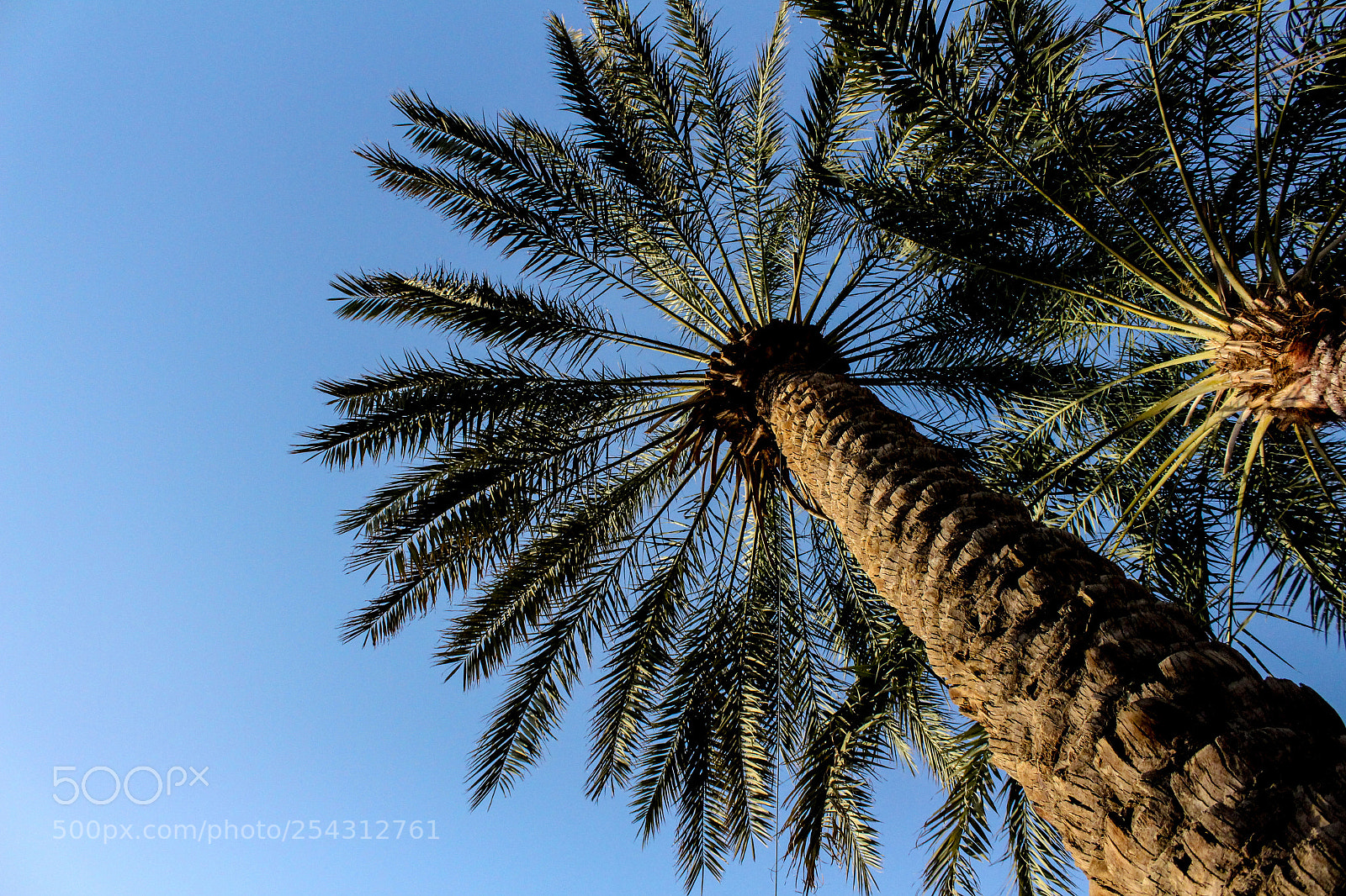 Canon EOS 700D (EOS Rebel T5i / EOS Kiss X7i) sample photo. Img photography