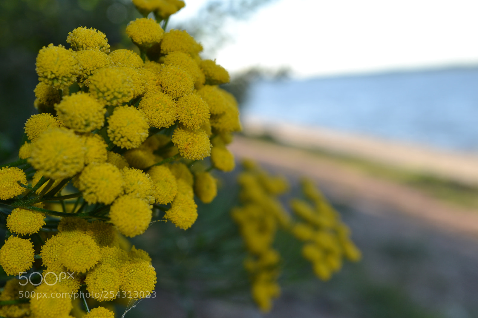 Nikon D3100 sample photo. Its a biautiful world photography