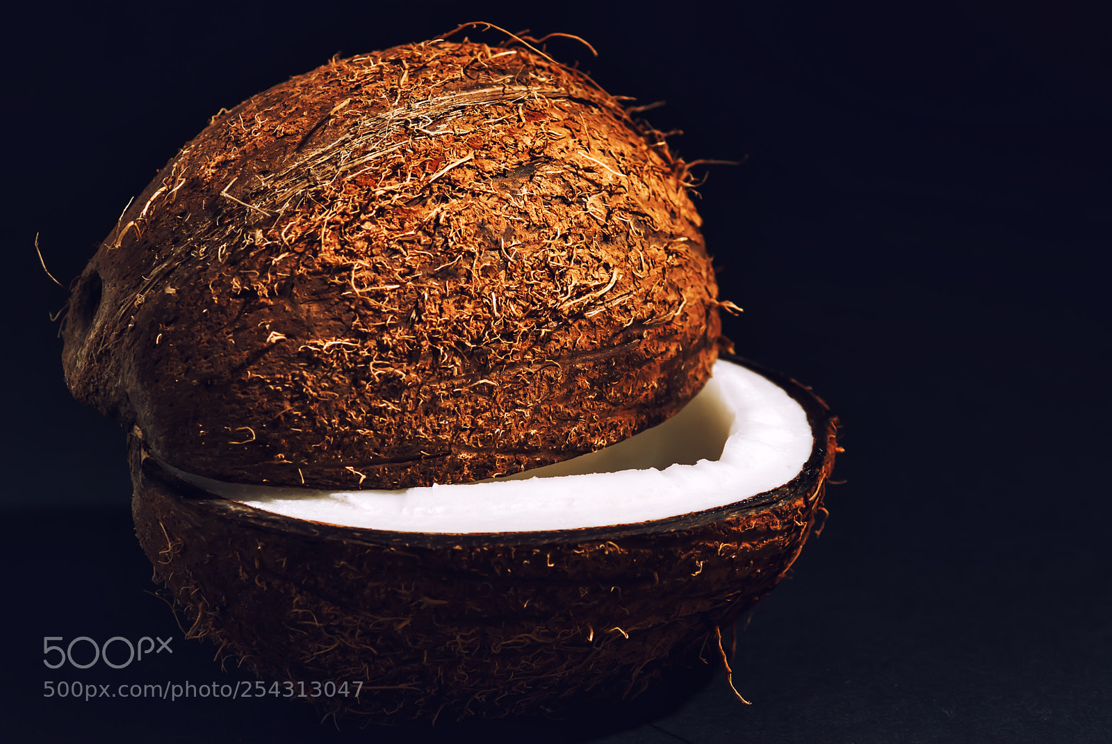 Sony Alpha DSLR-A230 sample photo. Coconut photography