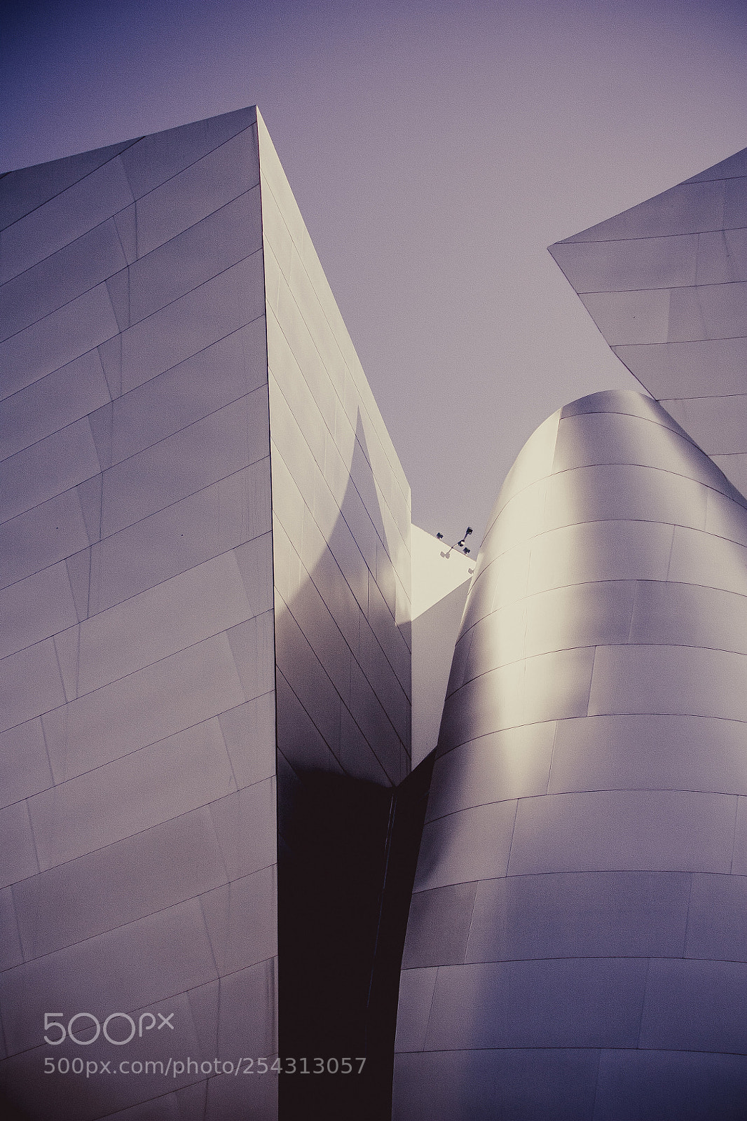 Canon EOS 450D (EOS Rebel XSi / EOS Kiss X2) sample photo. Walt disney concert hall photography
