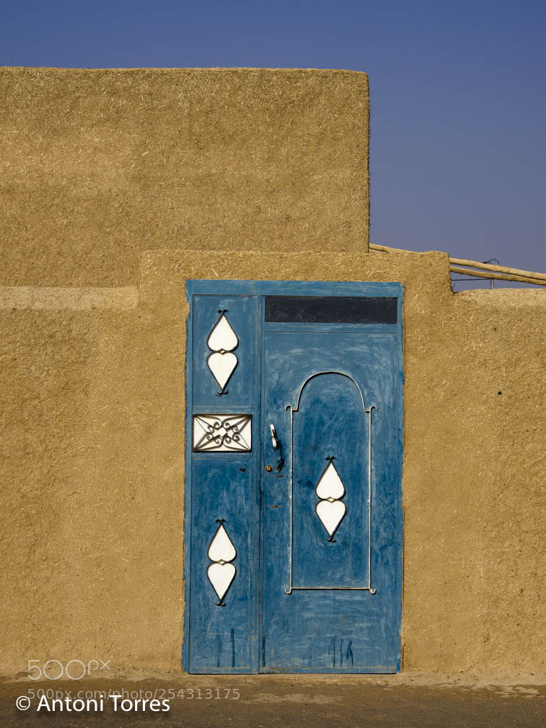 Olympus OM-D E-M1 Mark II sample photo. Porta de colors photography