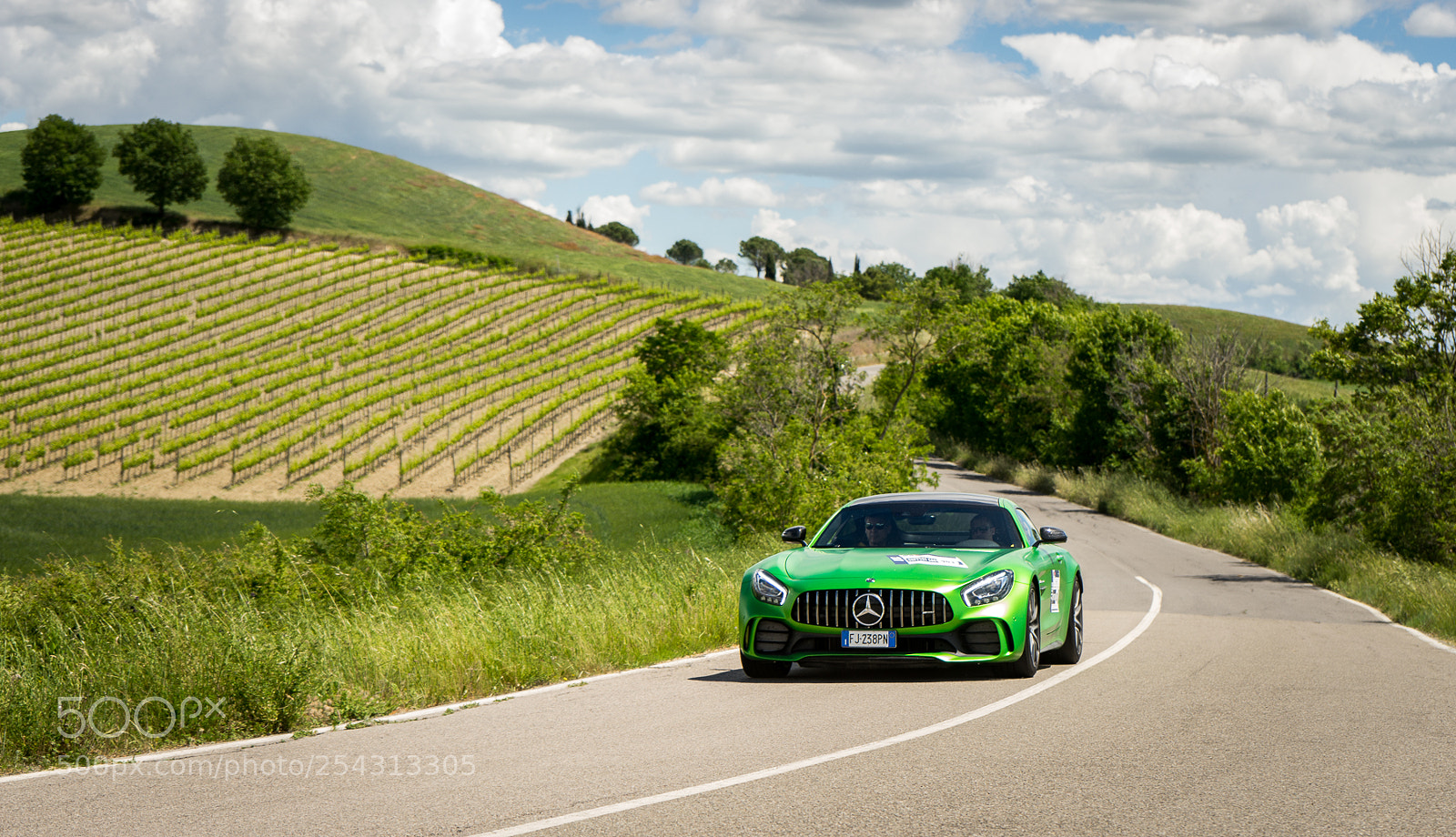 Sony a7 sample photo. Seeing green photography