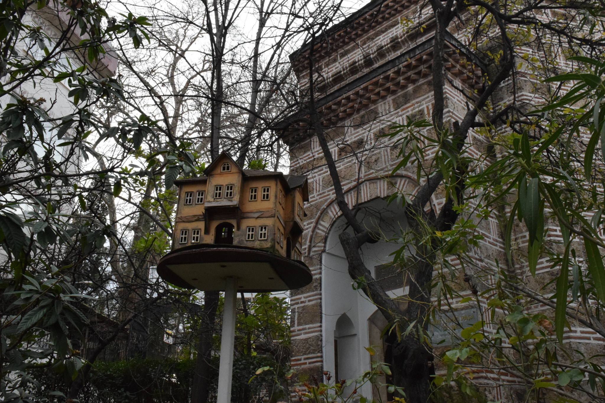 Nikon D5300 sample photo. .. photography