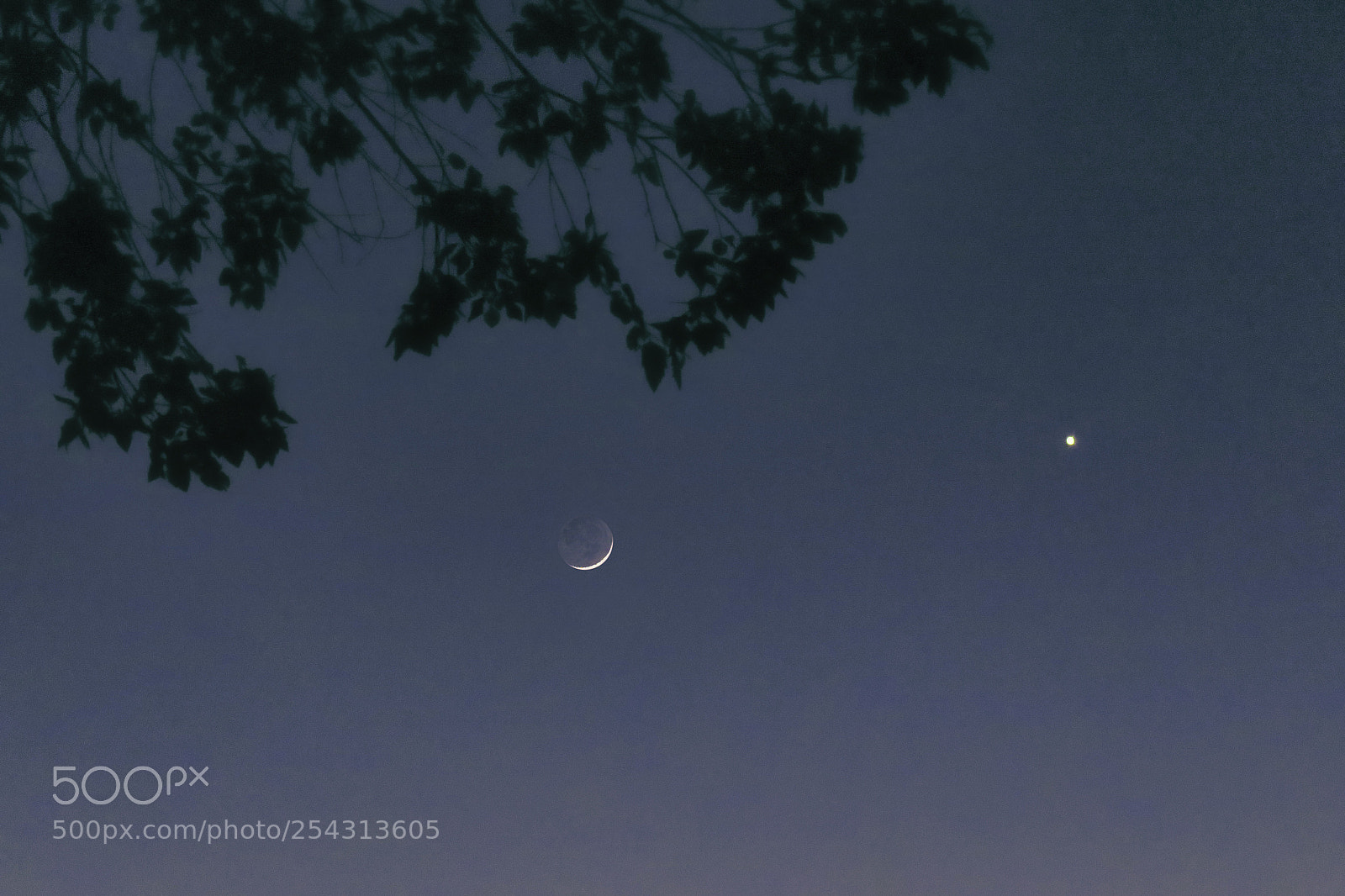 Canon PowerShot SX60 HS sample photo. Crescent moon and venus photography