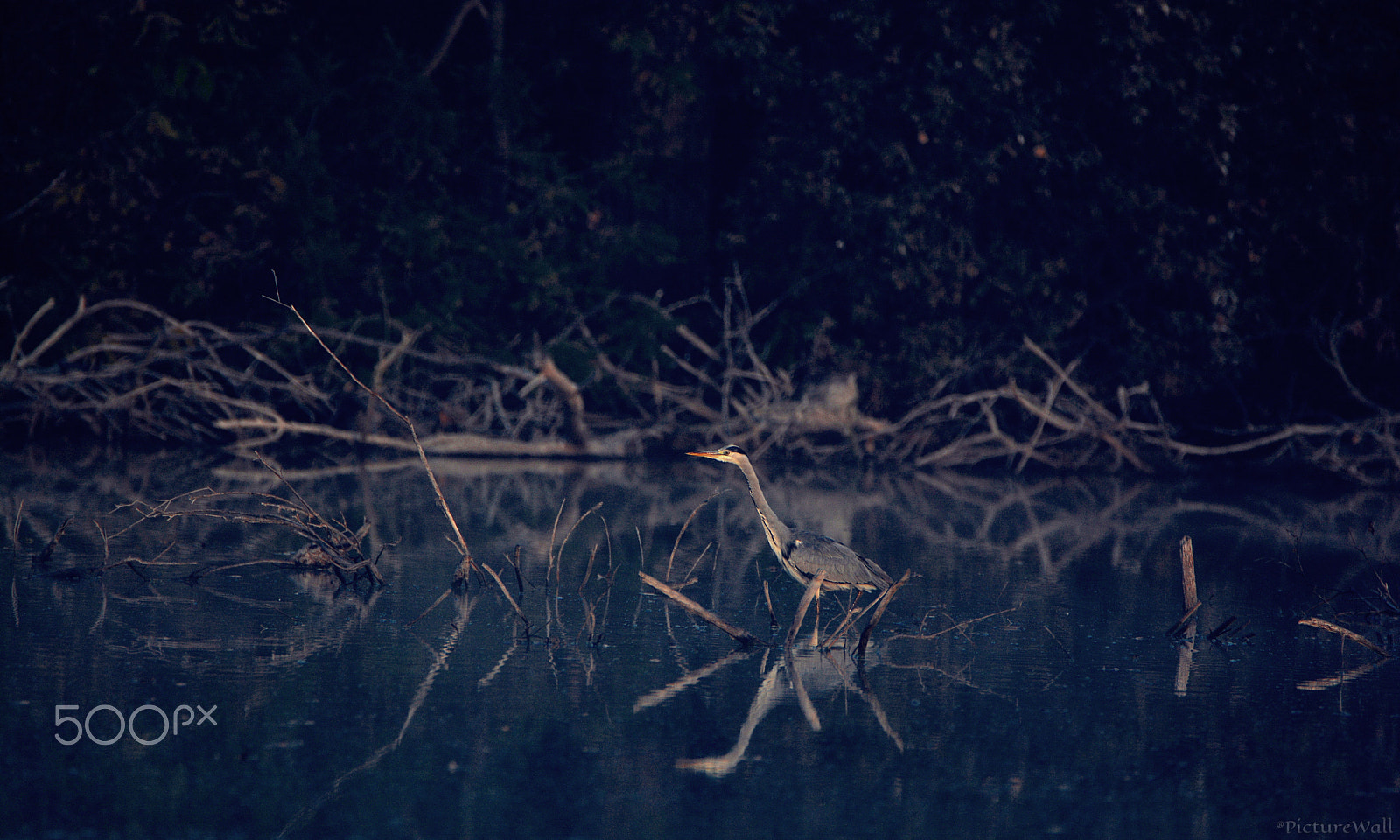 Nikon D7100 sample photo. 17..jpg photography