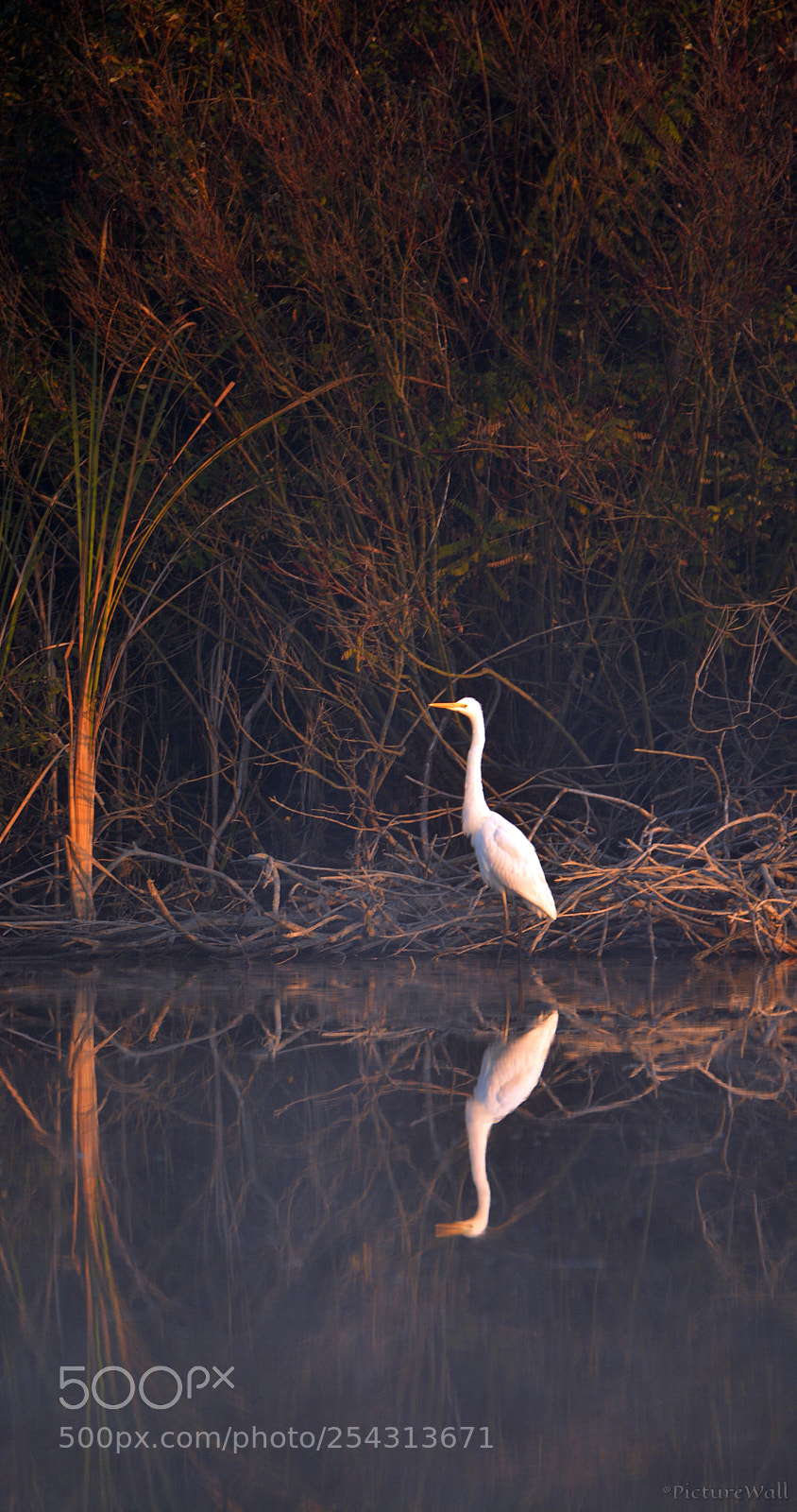 Nikon D7100 sample photo. 22..jpg photography