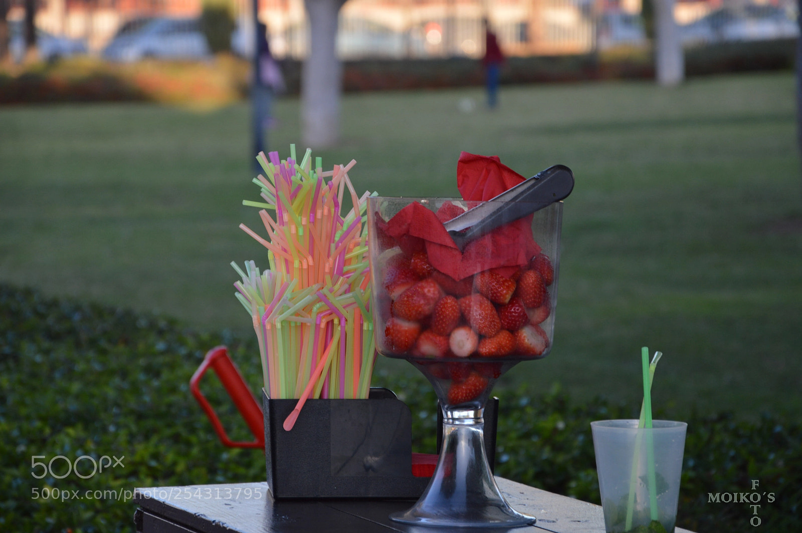 Nikon D3200 sample photo. Fresas en el parque photography