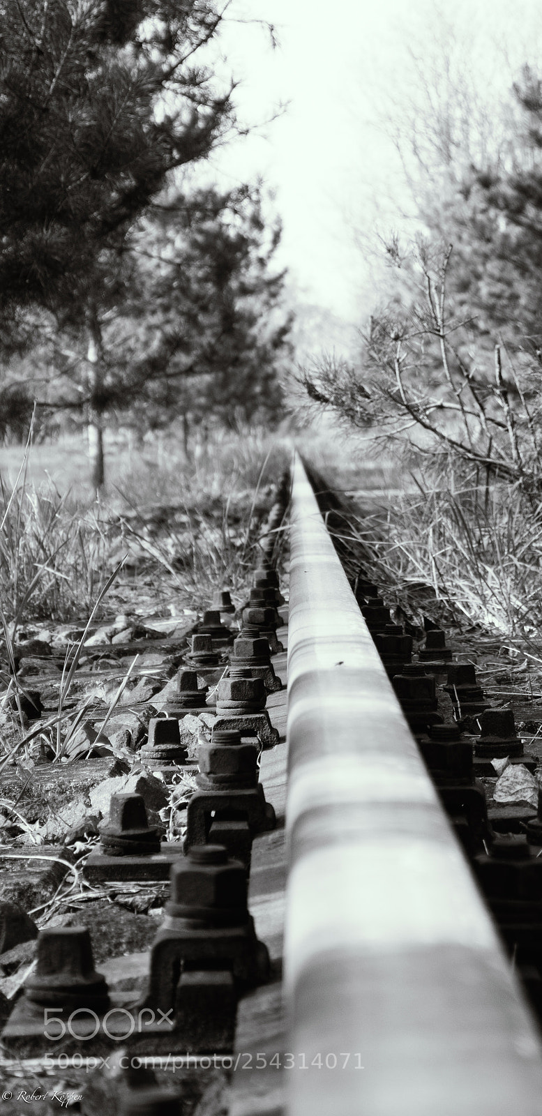 Olympus OM-D E-M1 sample photo. Rail photography