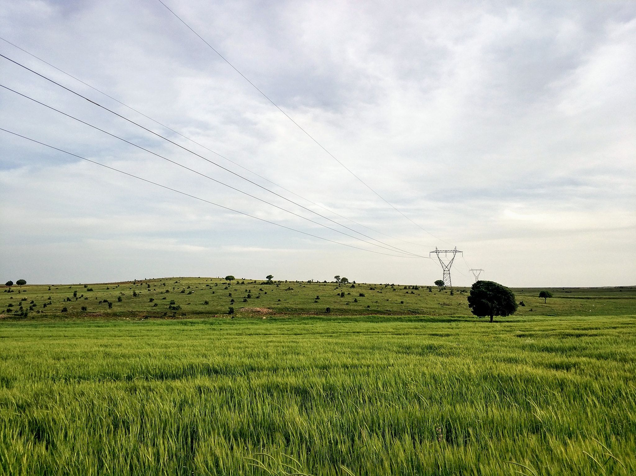 Xiaomi Mi Note 3 sample photo
