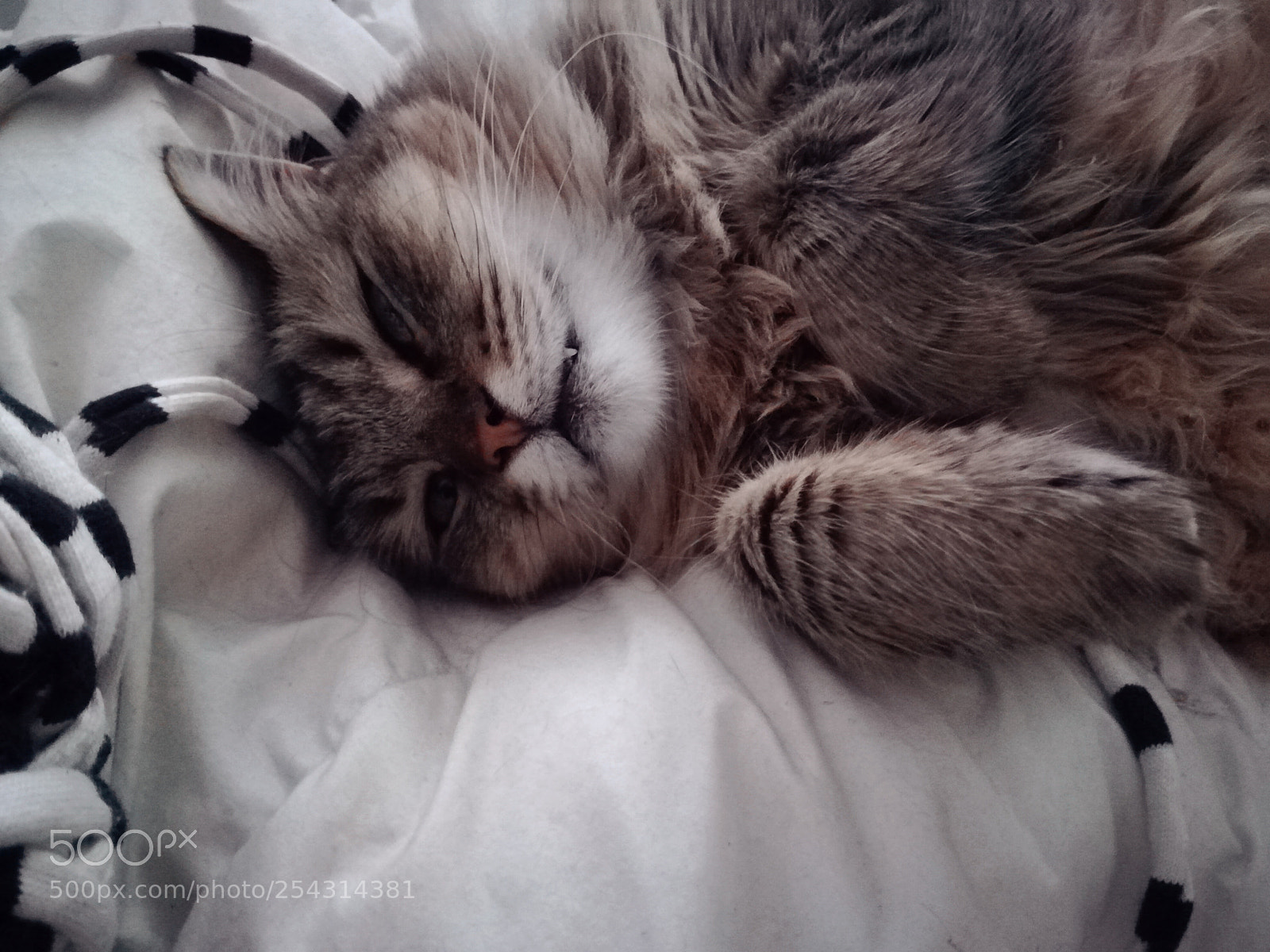 HUAWEI PRA-LX1 sample photo. Untitled photography