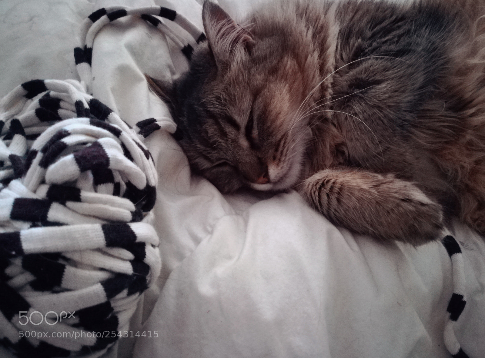HUAWEI PRA-LX1 sample photo. Untitled photography