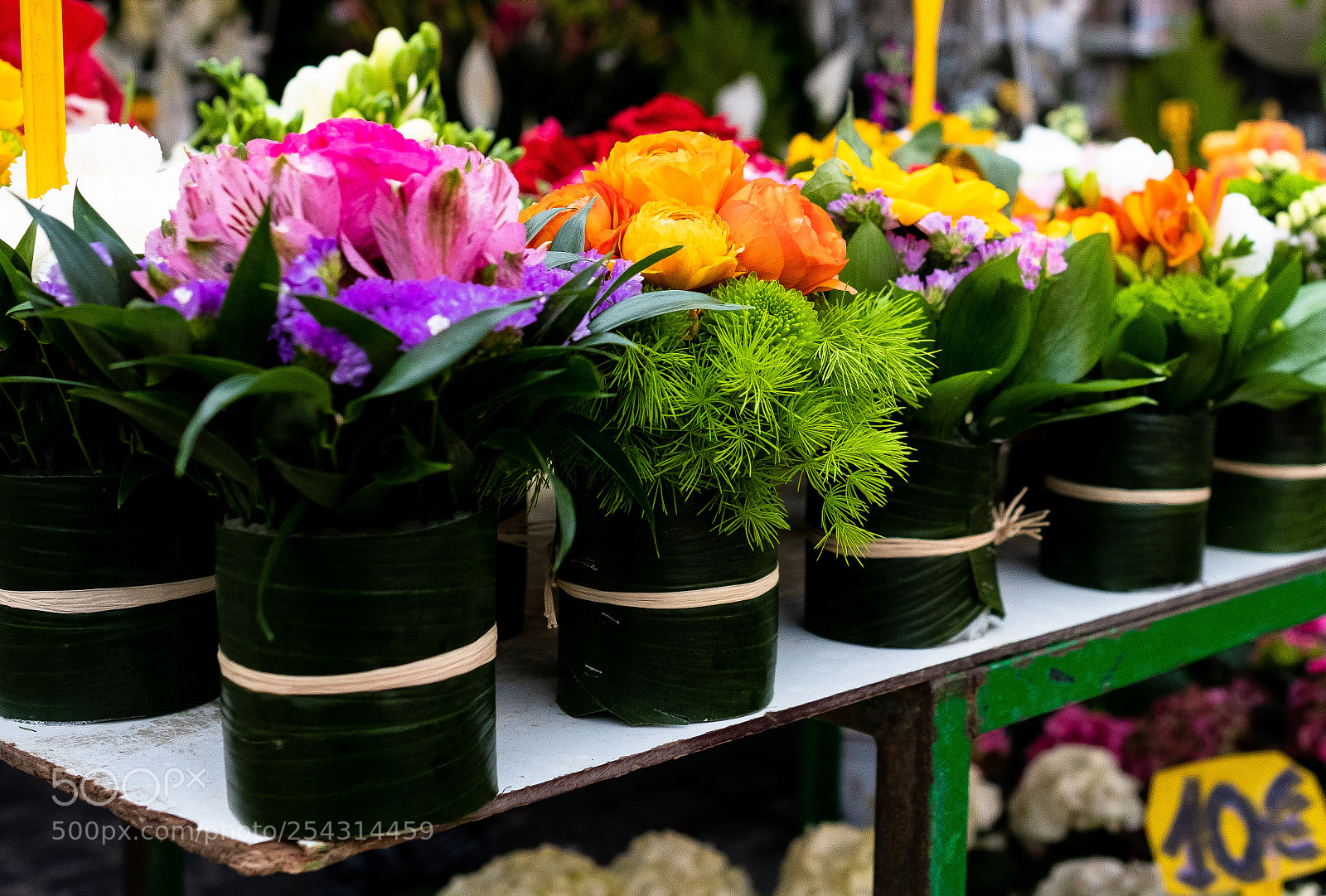 Fujifilm X-T2 sample photo. Flowers photography