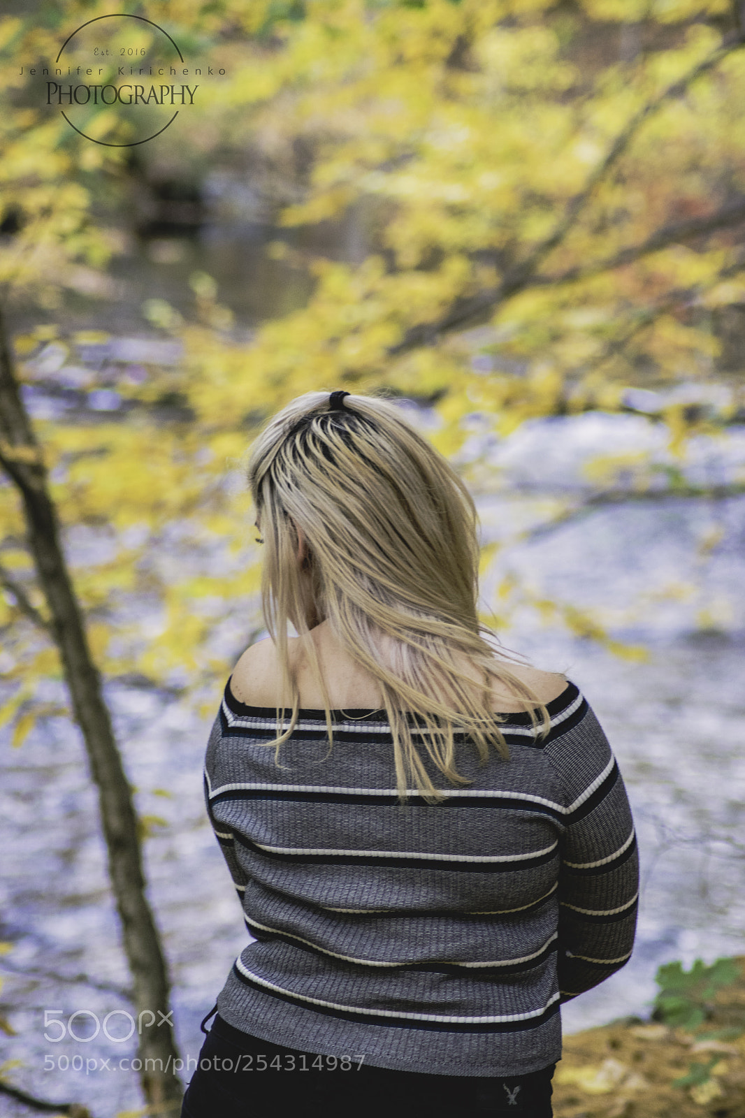 Nikon D3300 sample photo. Wander photography
