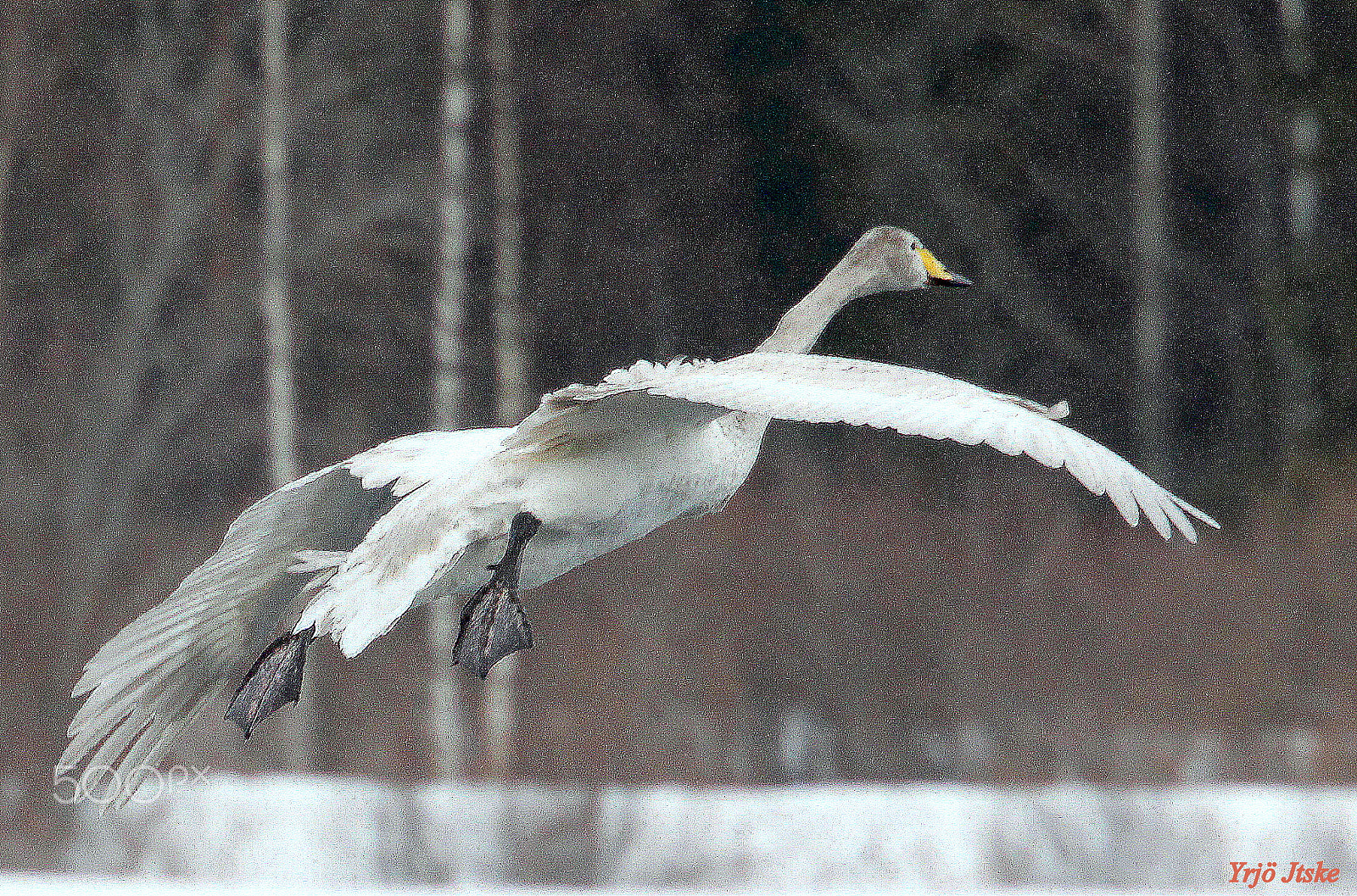 Canon EOS 700D (EOS Rebel T5i / EOS Kiss X7i) sample photo. The  landing permit is required.... photography
