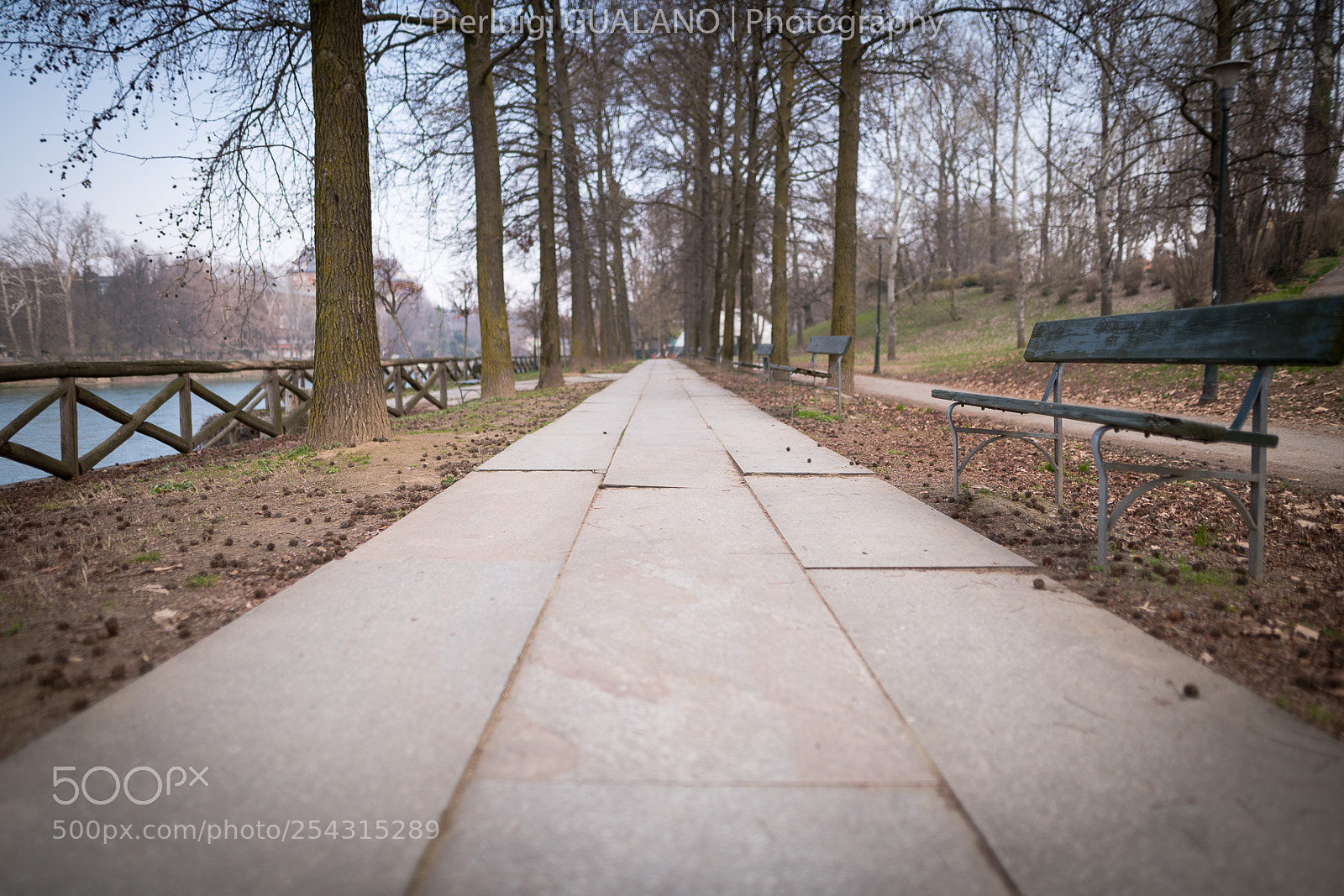 Nikon D850 sample photo. Street photography