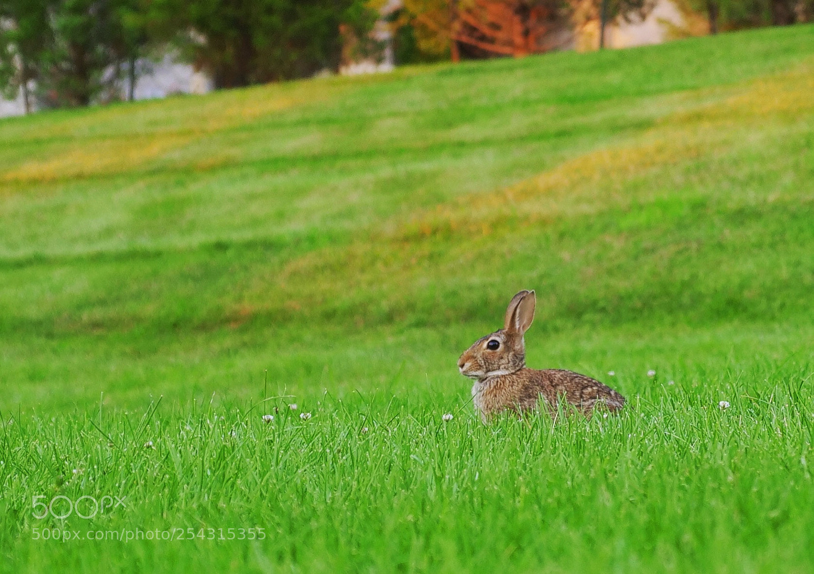 Panasonic Lumix DC-GH5 sample photo. Img photography