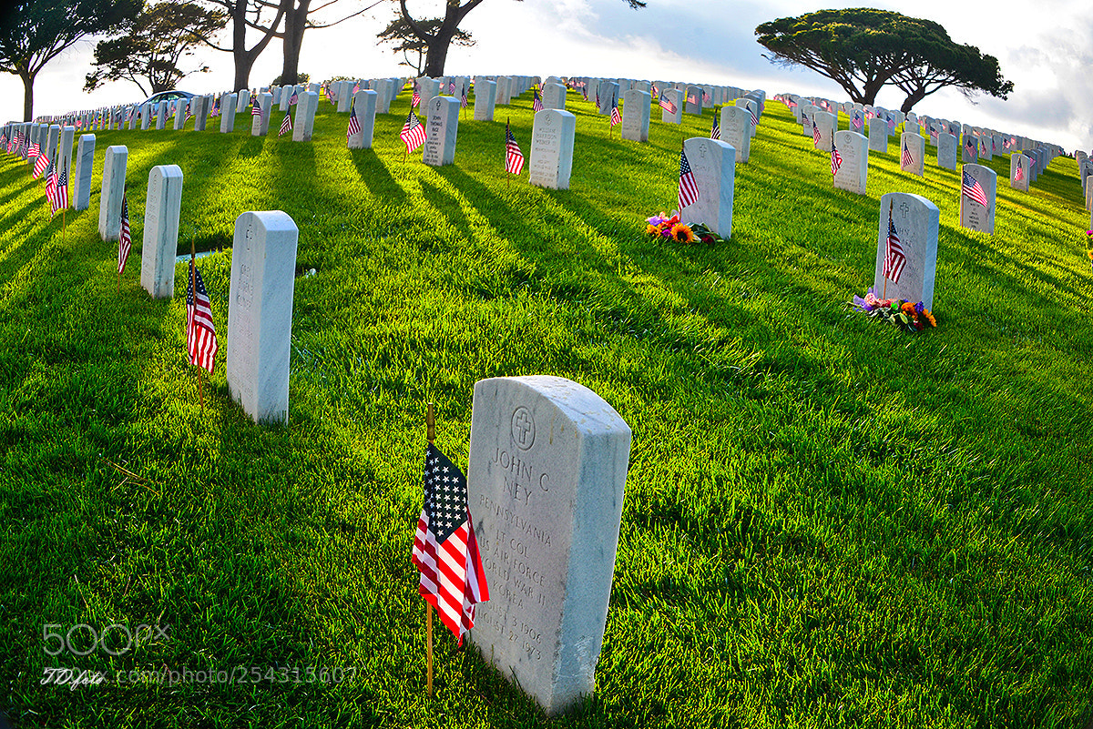 Nikon D610 sample photo. Peace photography