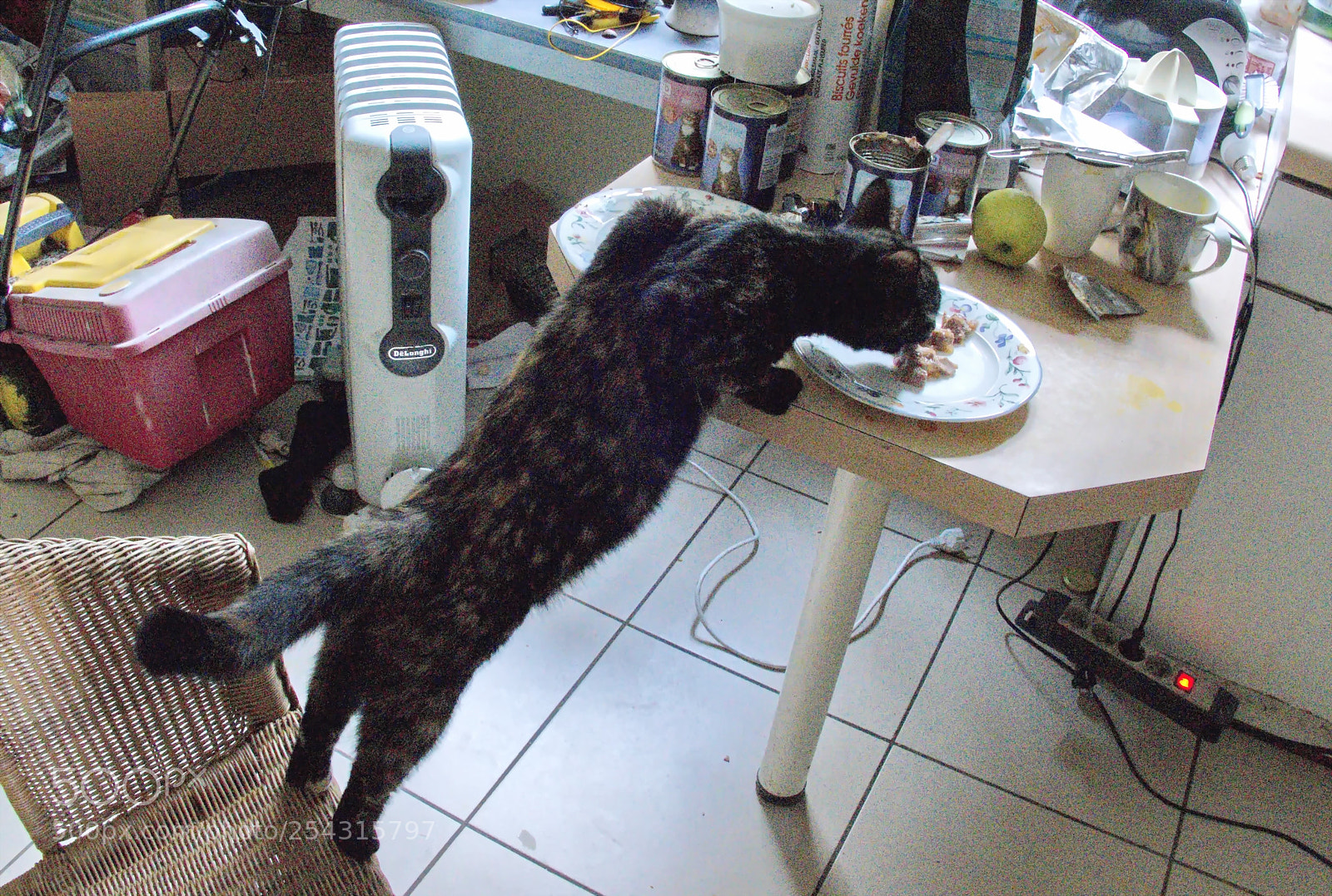 Panasonic Lumix DMC-FZ1000 sample photo. Ssss () photography