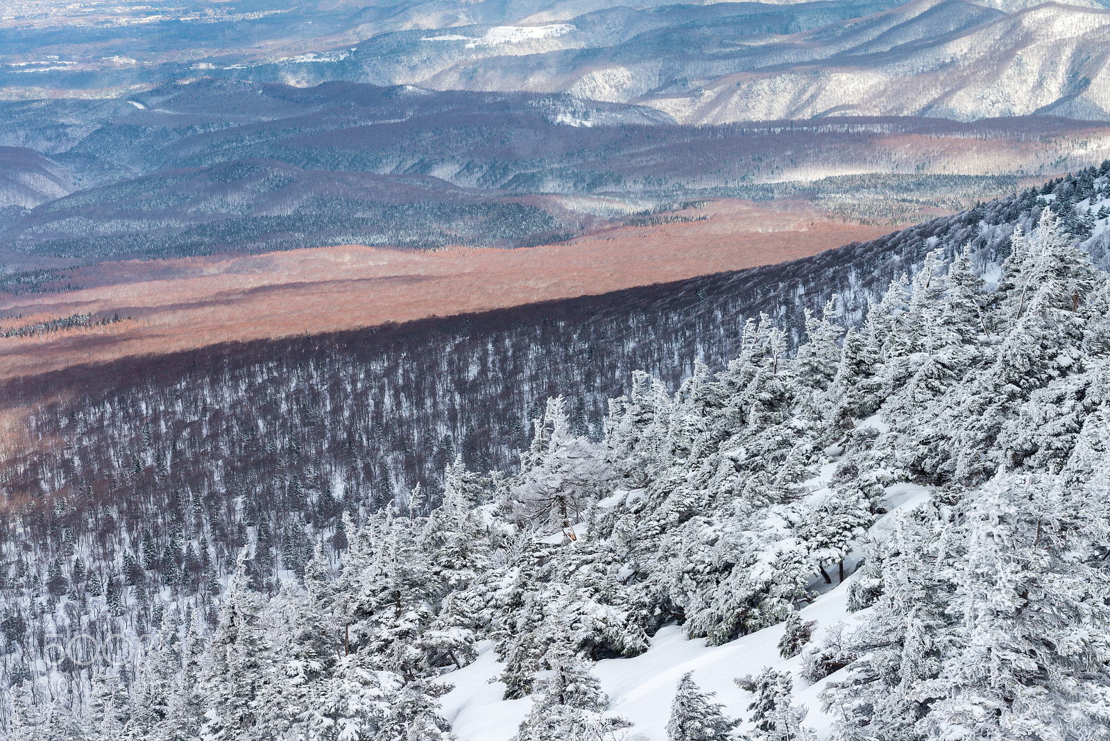 Nikon D800 sample photo. Frozen mountain photography