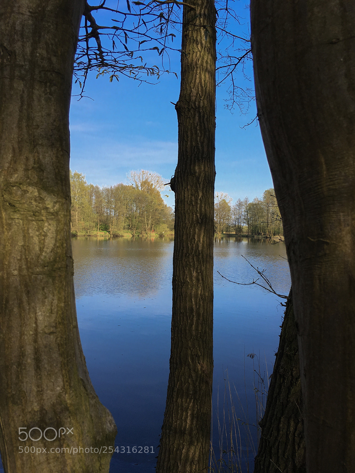 Apple iPhone 6s Plus sample photo. Sunny lake  photography