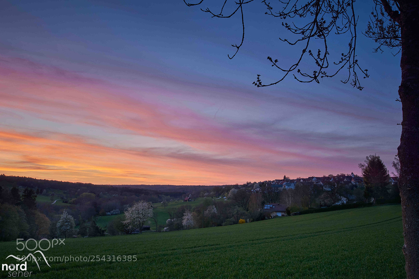 Sony ILCA-77M2 sample photo. Rübgarten by night photography