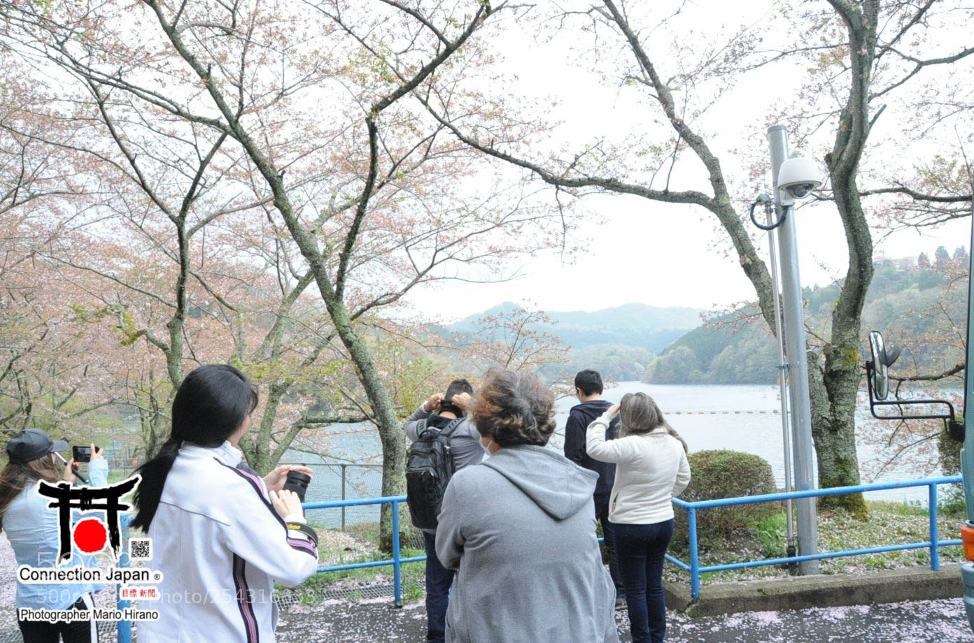 Nikon D700 sample photo. Excurs o japan tour photography