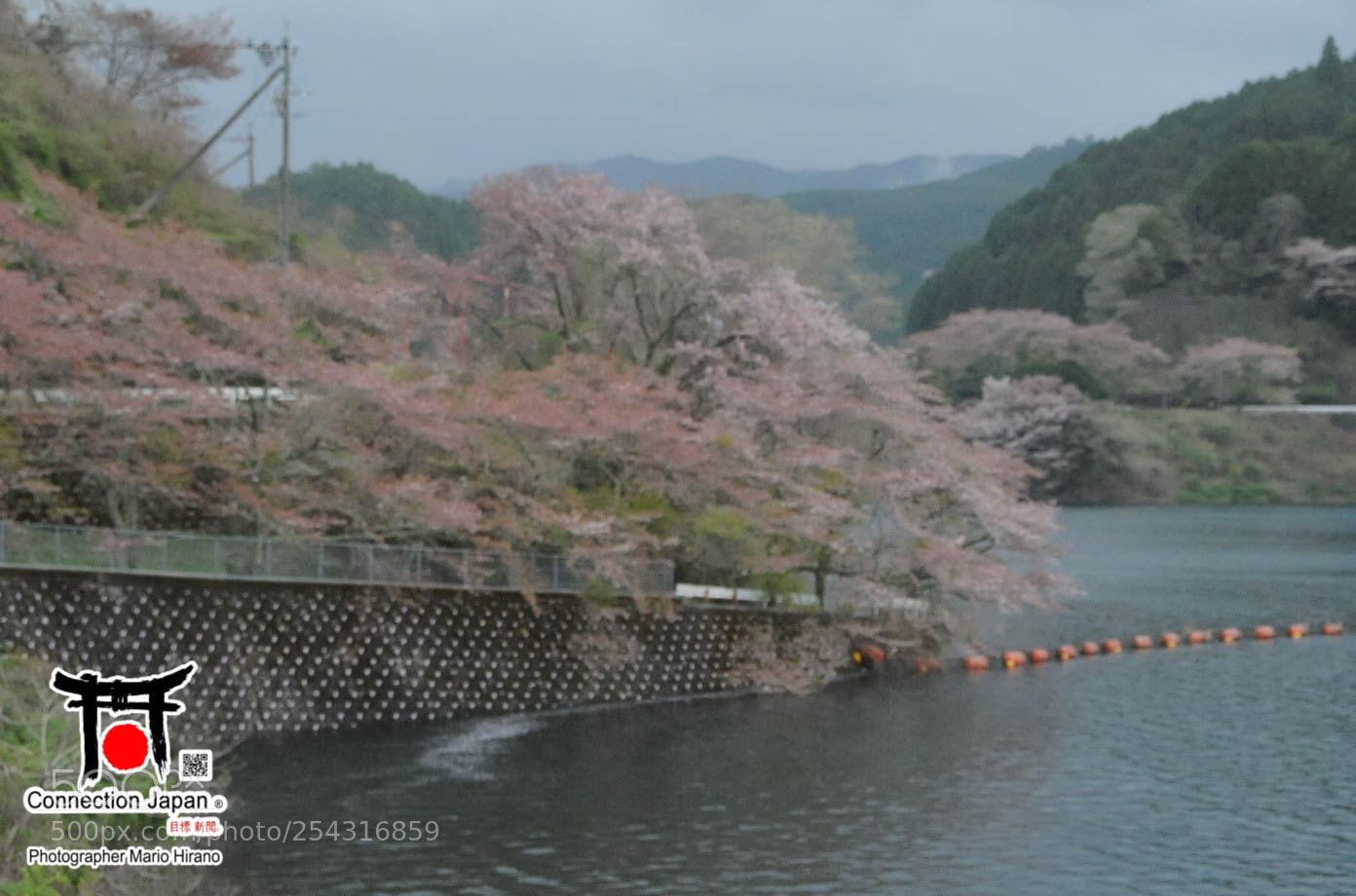 Nikon D700 sample photo. Excurs o japan tour photography