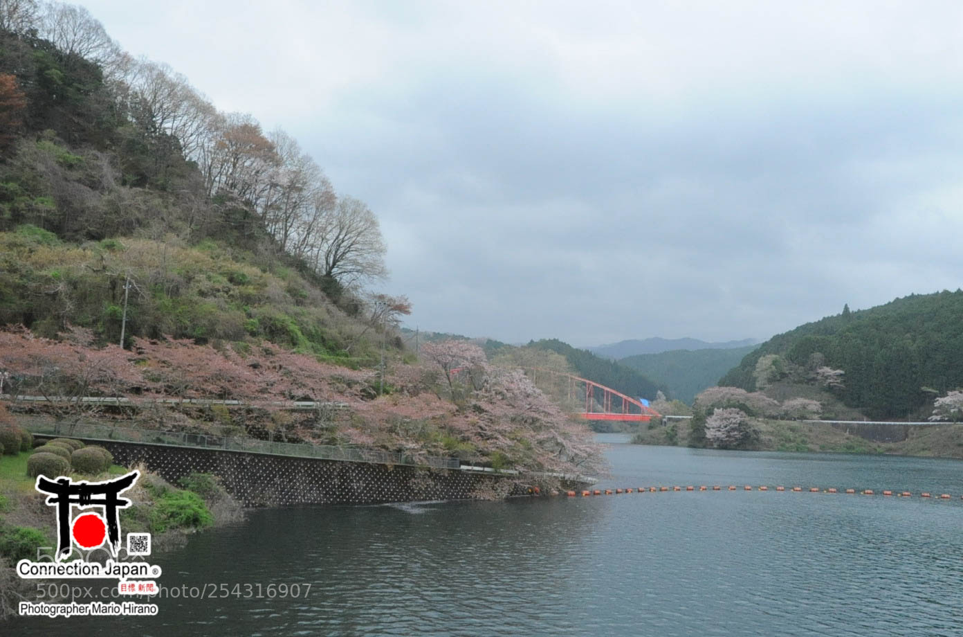 Nikon D700 sample photo. Excurs o japan tour photography