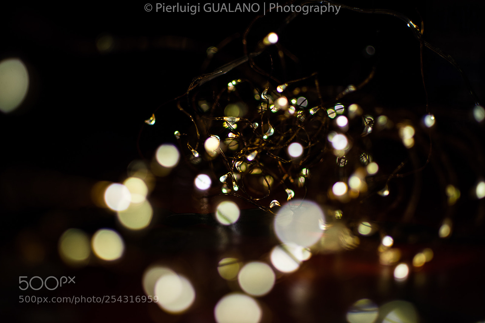 Nikon D7200 sample photo. Bokeh photography