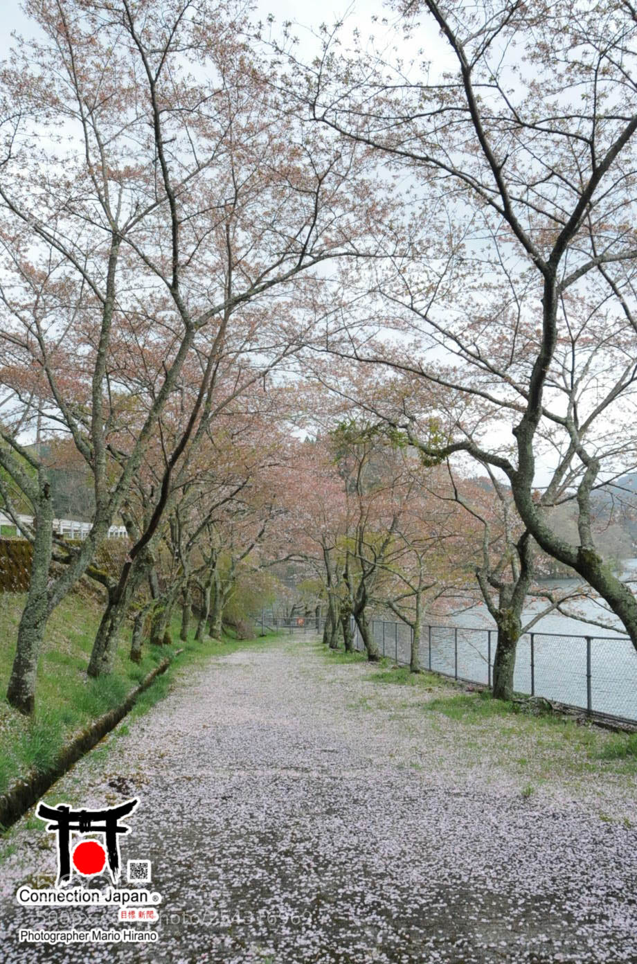 Nikon D700 sample photo. Excurs o japan tour photography