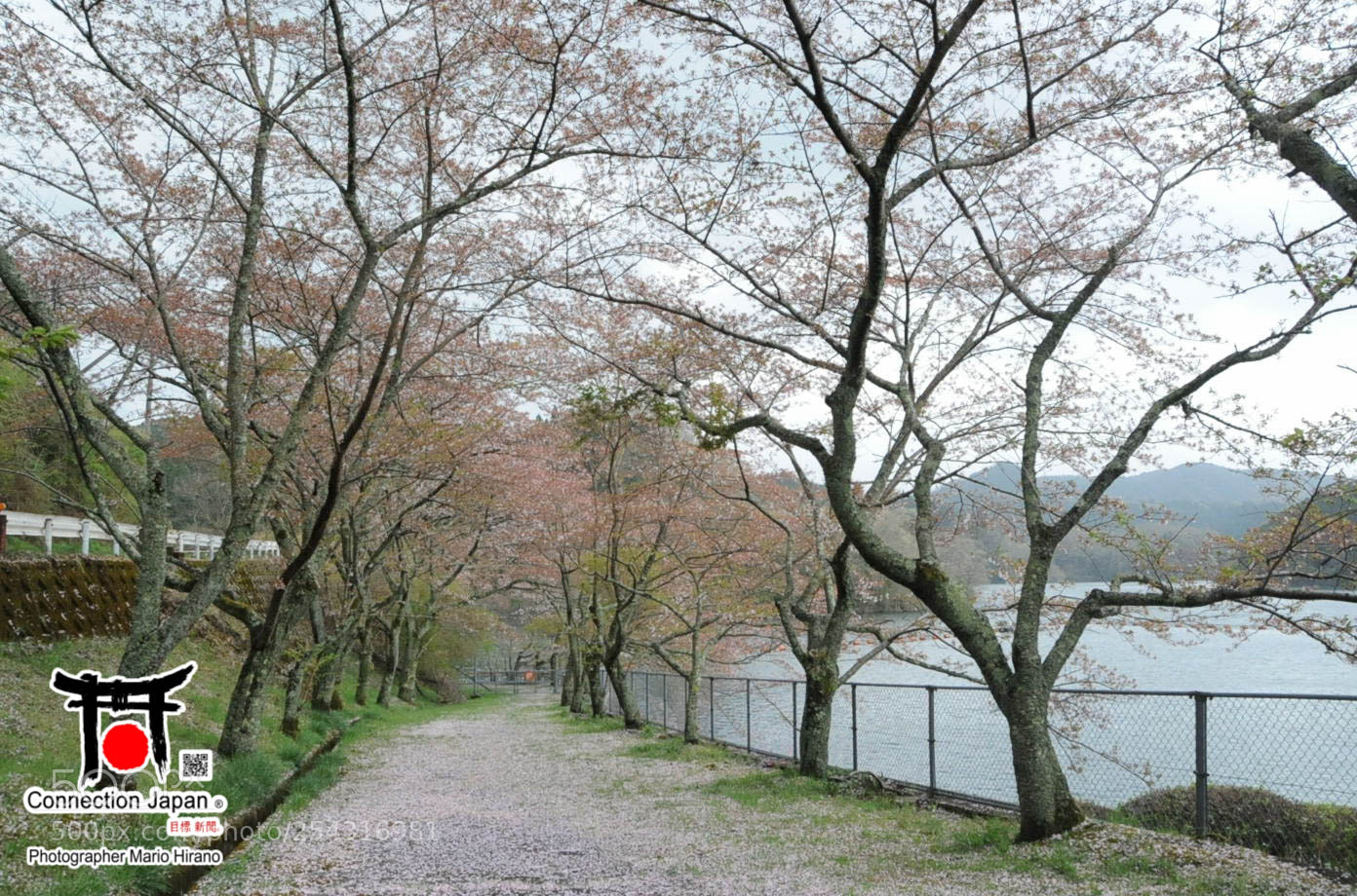 Nikon D700 sample photo. Excurs o japan tour photography