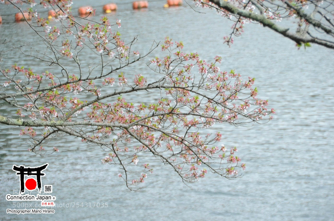 Nikon D700 sample photo. Excurs o japan tour photography