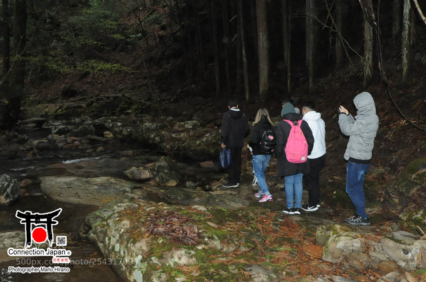 Nikon D700 sample photo. Excurs o japan tour photography