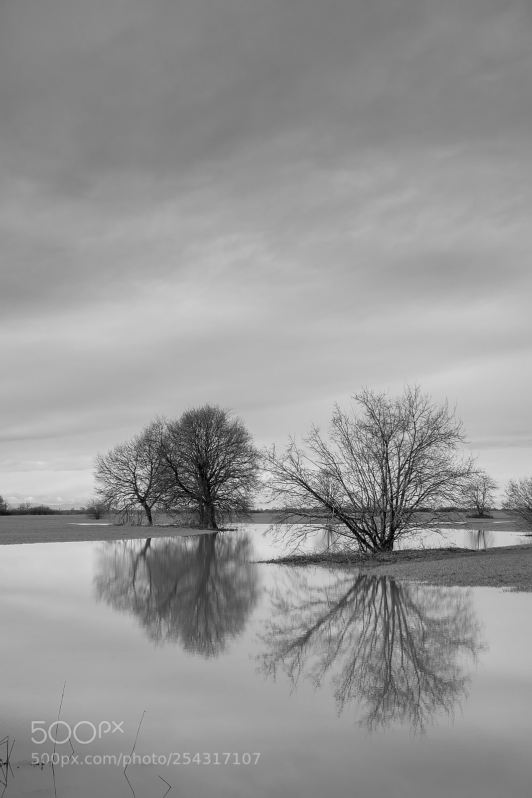 Panasonic Lumix DMC-GX7 sample photo. Lake1 photography