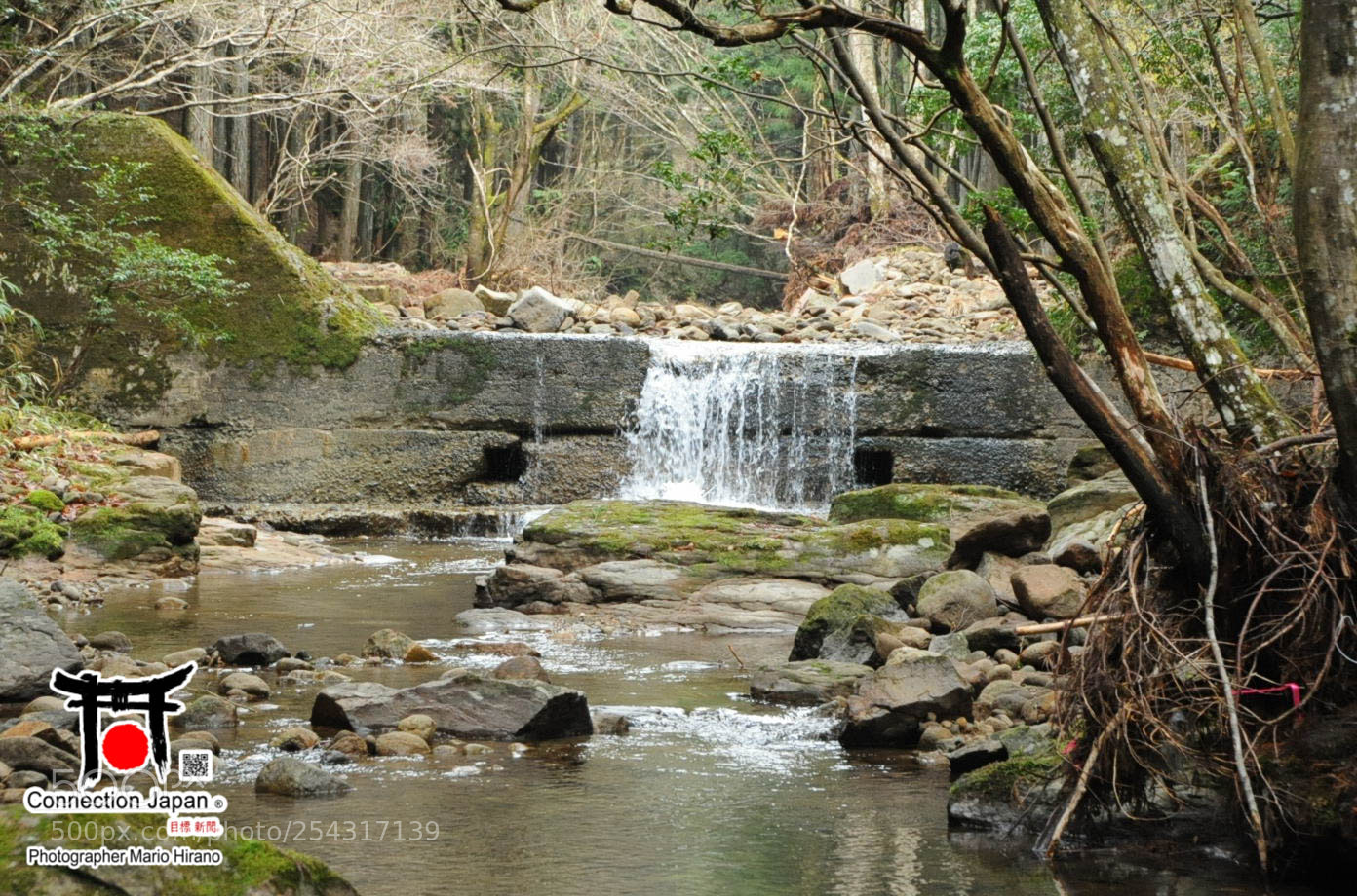 Nikon D700 sample photo. Excurs o japan tour photography