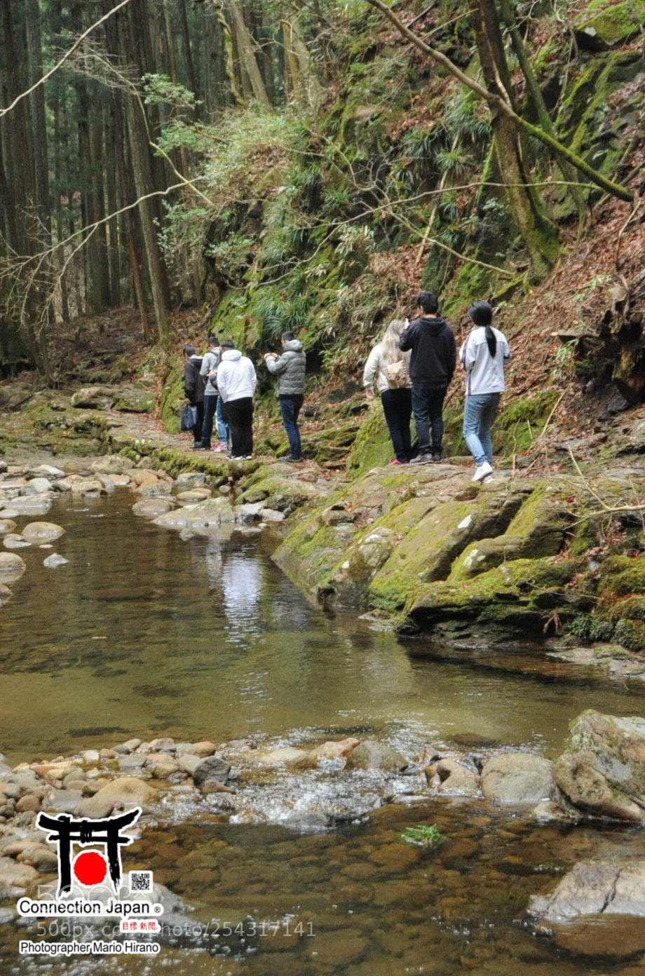 Nikon D700 sample photo. Excurs o japan tour photography