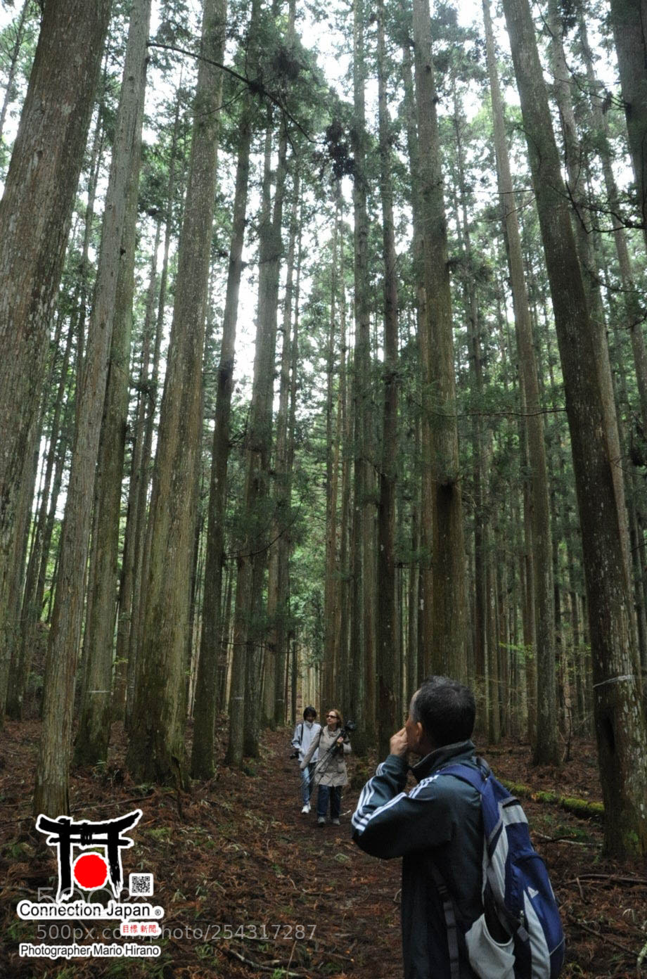 Nikon D700 sample photo. Excurs o japan tour photography