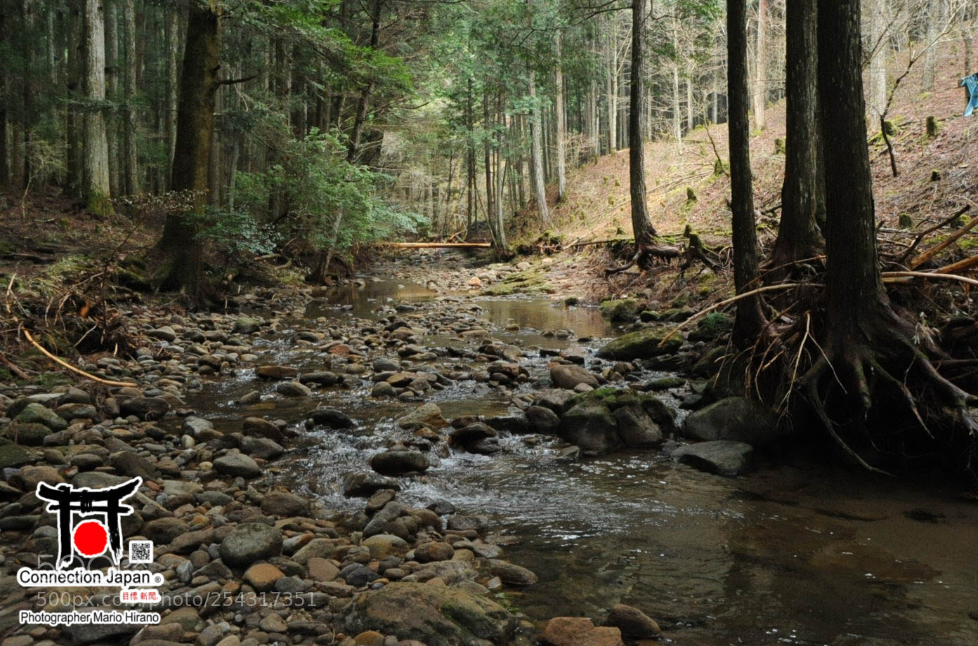 Nikon D700 sample photo. Excurs o japan tour photography