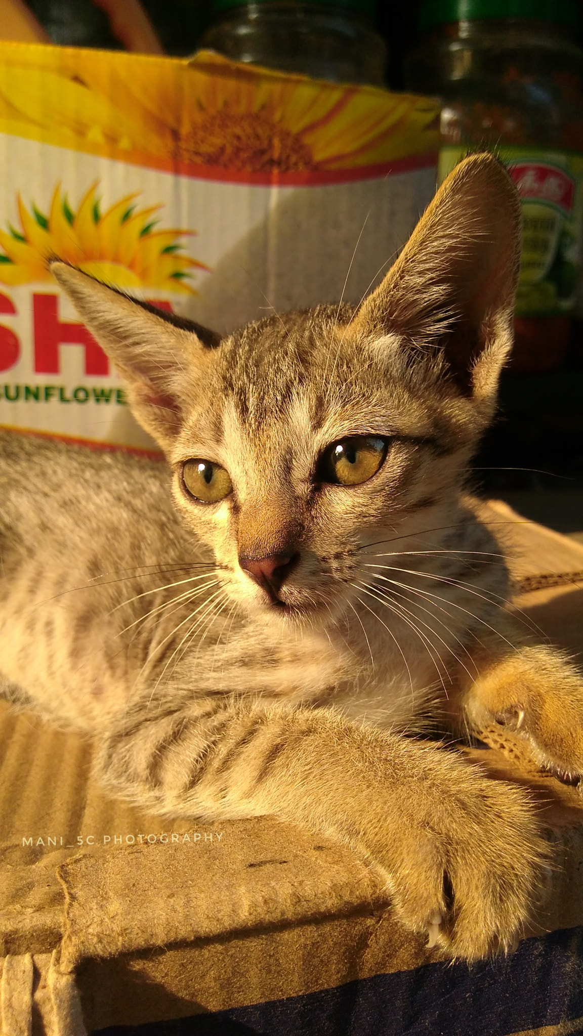Motorola Moto G Play sample photo